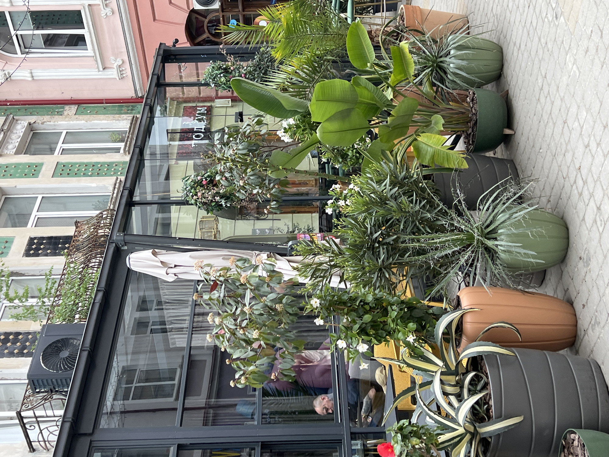 The image shows an outdoor café in Ternopil, Ukraine. Several potted plants line the edge of the café's outdoor seating area. These include various species of plants, such as bird of paradise, yucca, and flowering shrubs. The plants are contained in a mix of terracotta, green, and grey ribbed pots. The café itself has a modern glass facade. Inside, a person is visible sitting at a table. The building adjacent to the café is older with decorative architectural details and window frames painted in green and pink. An air conditioning unit is mounted on the exterior wall. The pavement in front of the café is composed of interlocking concrete pavers.