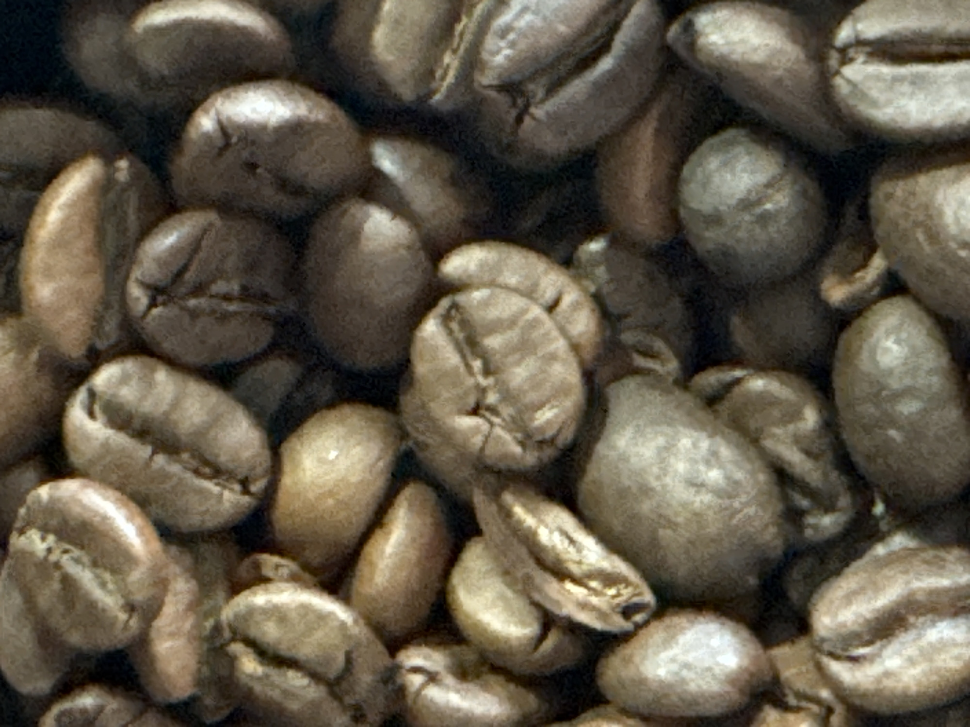 The image is a close-up, top-down view of a pile of whole, roasted coffee beans. The beans are an irregular oval shape with a visible crease down the center of most of them, indicating their origin as coffee cherries. They vary slightly in color, ranging from light tan to medium brown, with some showing a slight sheen from the roasting process. The beans are tightly packed together, creating a textured surface with shadows and highlights. There is no discernible background or environment beyond the beans themselves, suggesting this image is a product shot or a close-up detail of the coffee beans. The location is not determinable from the image.