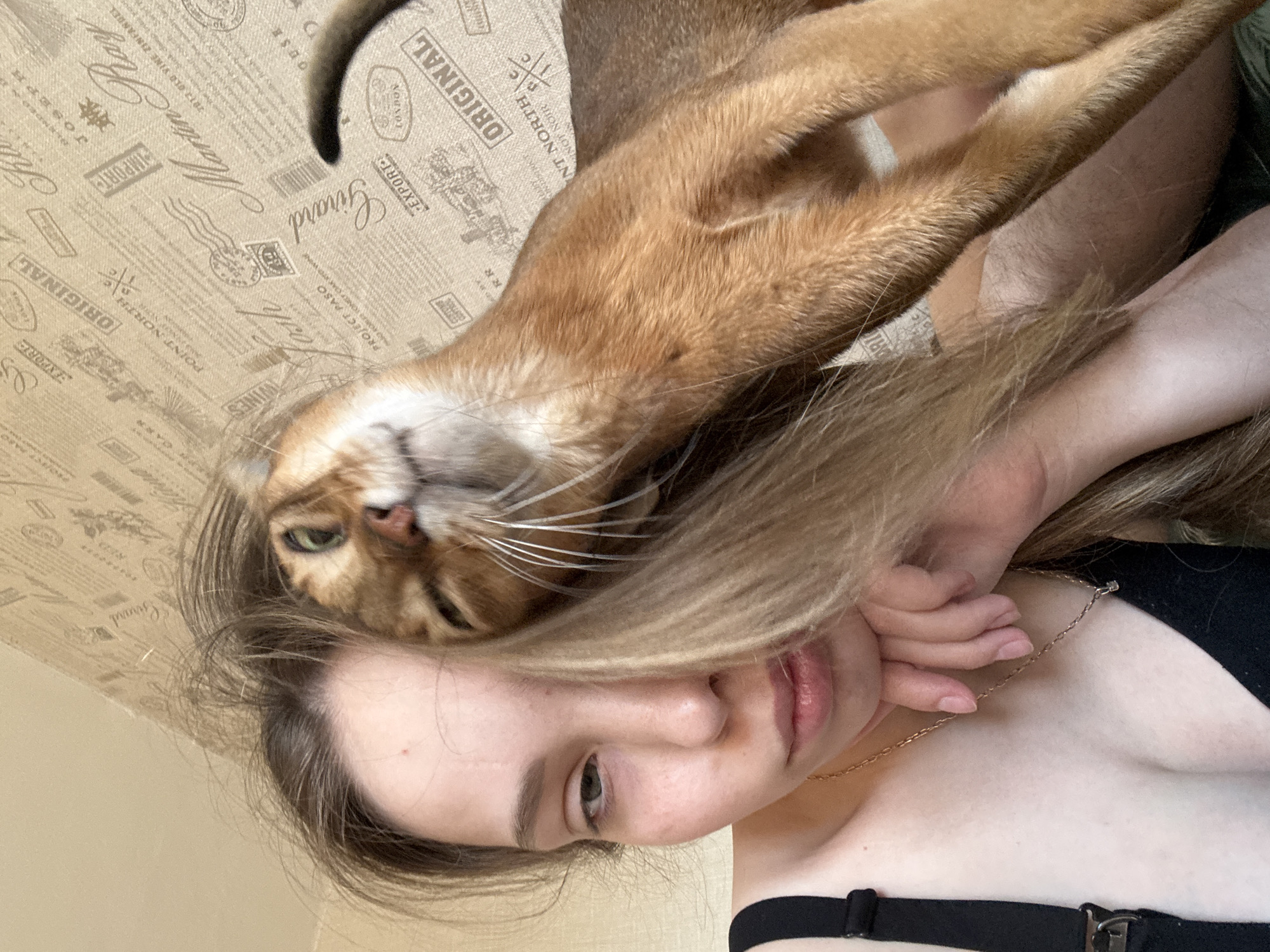 A woman with blond hair is lying on her back, holding a ginger cat above her. The cat is lying on its side, its head near the woman's face. The woman is wearing a black top and a gold necklace. The background is a patterned wallpaper. The location is Chaikovsky, Russia.