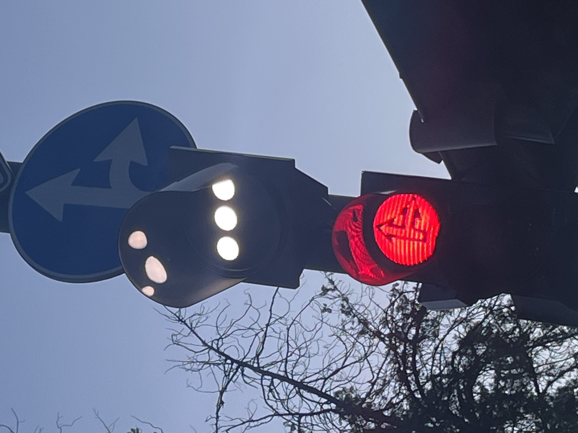 The image shows a traffic light in Sofia, Bulgaria. The traffic light has three white lights illuminated, indicating that trams can proceed straight ahead. A red light with a right arrow is also illuminated. A blue road sign indicating that drivers can either go straight ahead or turn left is present. Tree branches are visible in the background.