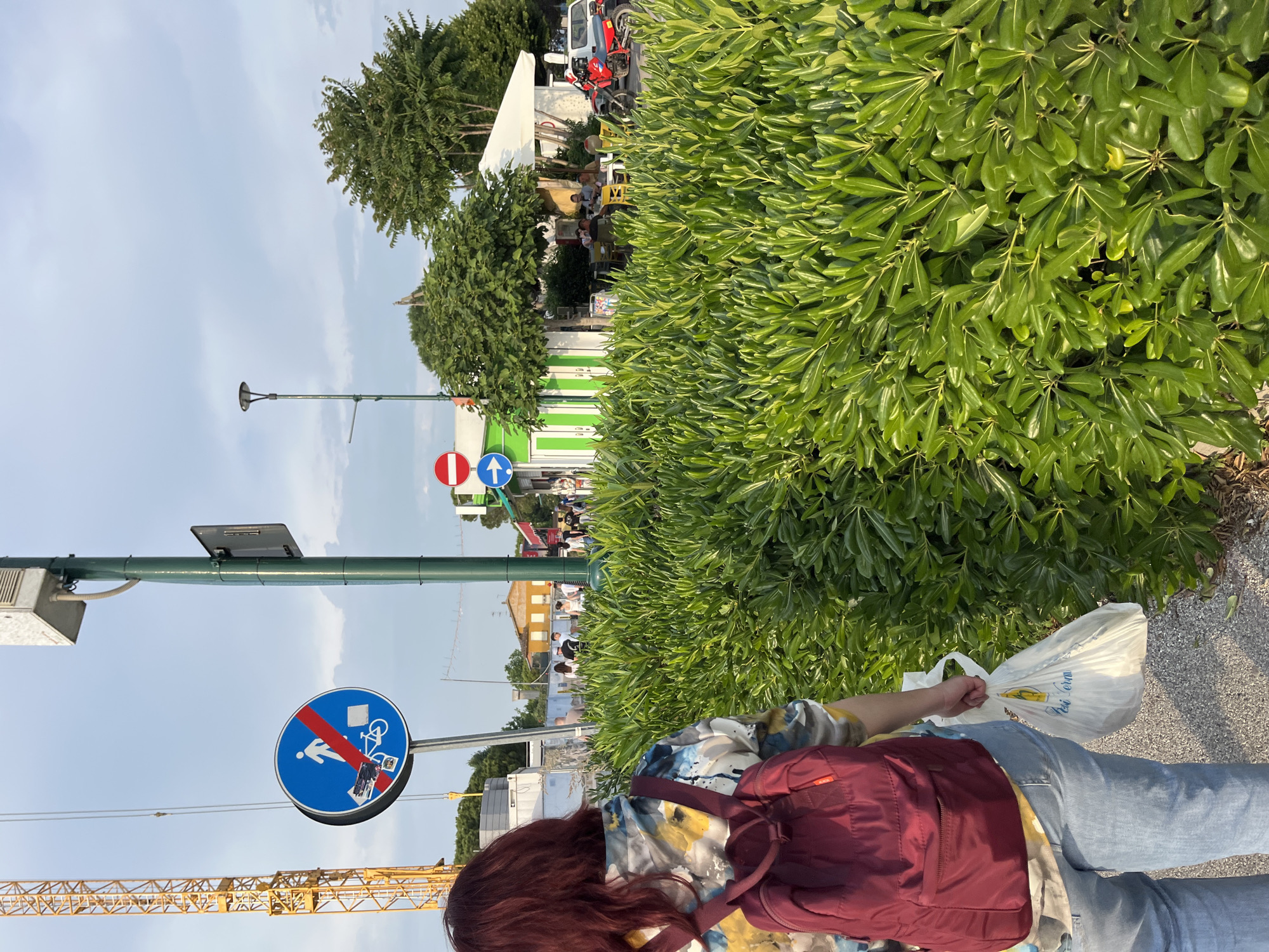 A person stands on a paved surface near a dense green hedge. They wear jeans, a patterned shirt, and a maroon backpack, and hold a white plastic bag. To the left, a yellow crane is visible. Above the crane, there's a blue circular sign with a red line through it, depicting symbols of a pedestrian, bicycle, and wheelchair. Further up, there is a green post supporting another traffic sign with a white arrow pointing upwards and a red circle. In the background are buildings, trees, and a street scene with people and vehicles, indicative of a public area. The location is Punta Sabbioni, Italy, evidenced by the typical features of the Italian coastline environment and vegetation.
