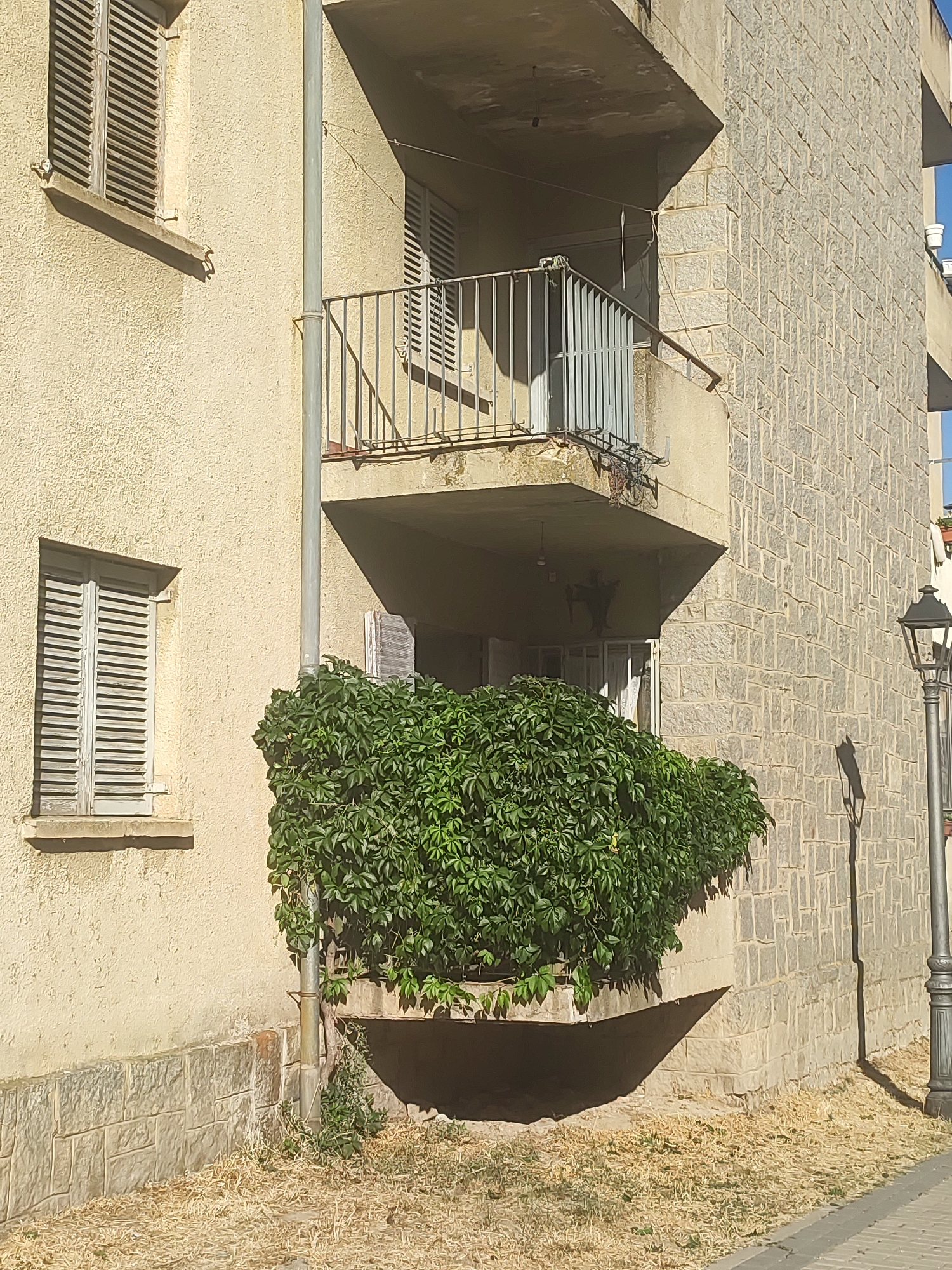The image depicts a section of a building's facade in San Ildefonso, Spain. The building is constructed with a textured light-yellow stucco on the left, transitioning to a light-colored stone block facade on the right. A balcony juts out from the stone section, supported by a concrete slab. The balcony is enclosed by a metal railing and a closed door. Lush green ivy cascades over the front of the balcony. Two windows with slatted shutters are visible on the stucco portion of the building. A downspout runs vertically along the stucco wall. The ground in front of the building is covered with dry, yellowed grass and a section of paved walkway. A decorative lamppost stands on the right side of the image. The scene is illuminated by sunlight, casting distinct shadows.