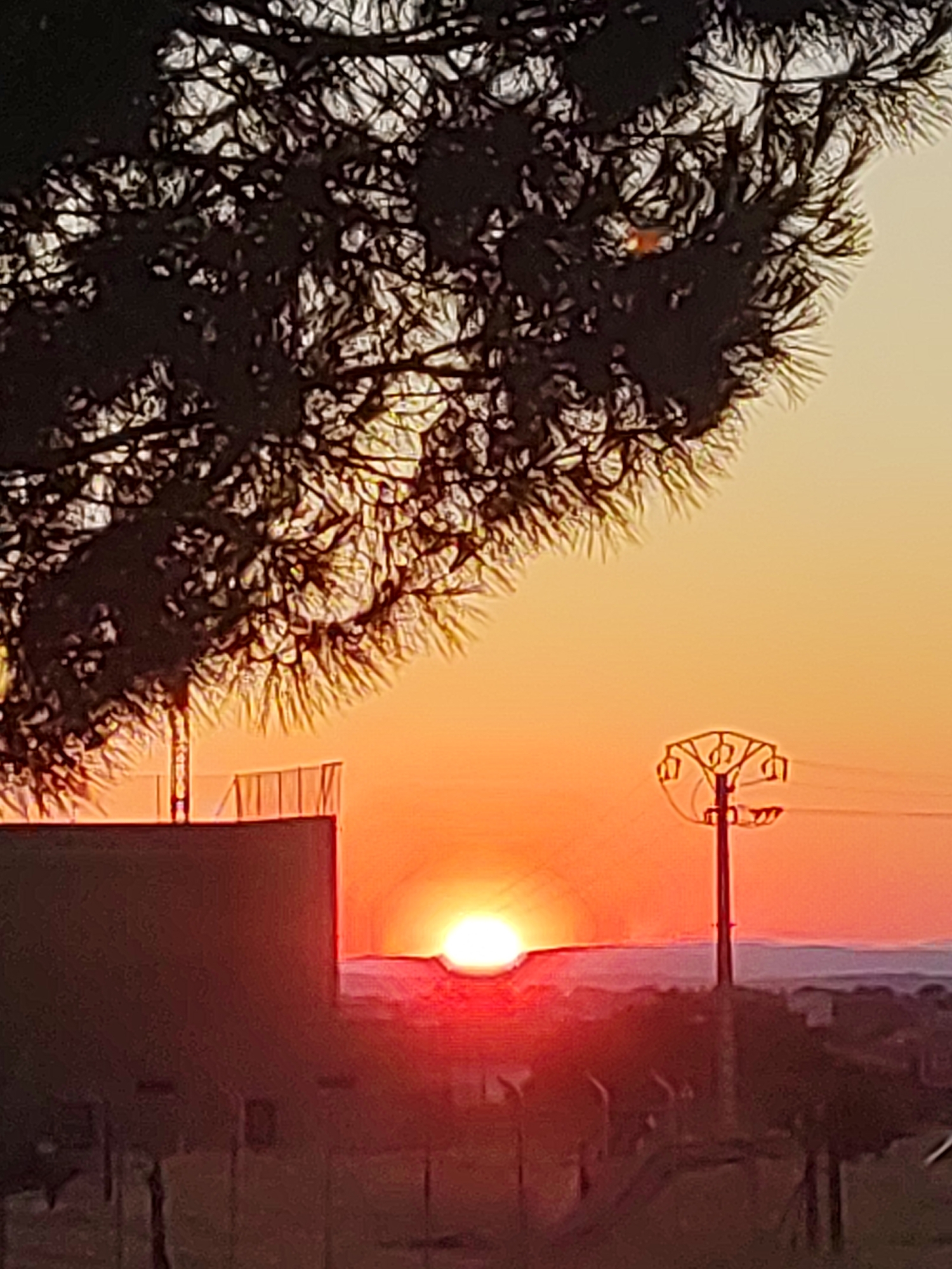A low-angle, medium shot captures a vibrant sunset over the city of Sobradillo, Spain. The sun, a bright orb of red and orange, is partially obscured by a dark silhouette of pine tree branches that dominate the upper left of the frame. In the foreground, the top of a dark-colored, rectangular building with a railing along its edge is visible. To the right, a utility pole with multiple wires extends upwards against the gradient sky, which transitions from a deep orange near the horizon to a soft yellow at the top. The middle ground shows a blurred landscape with faint hints of distant buildings. The scene is characterized by the warm, saturated colors of the sunset and the stark contrast between the natural elements and man-made structures.