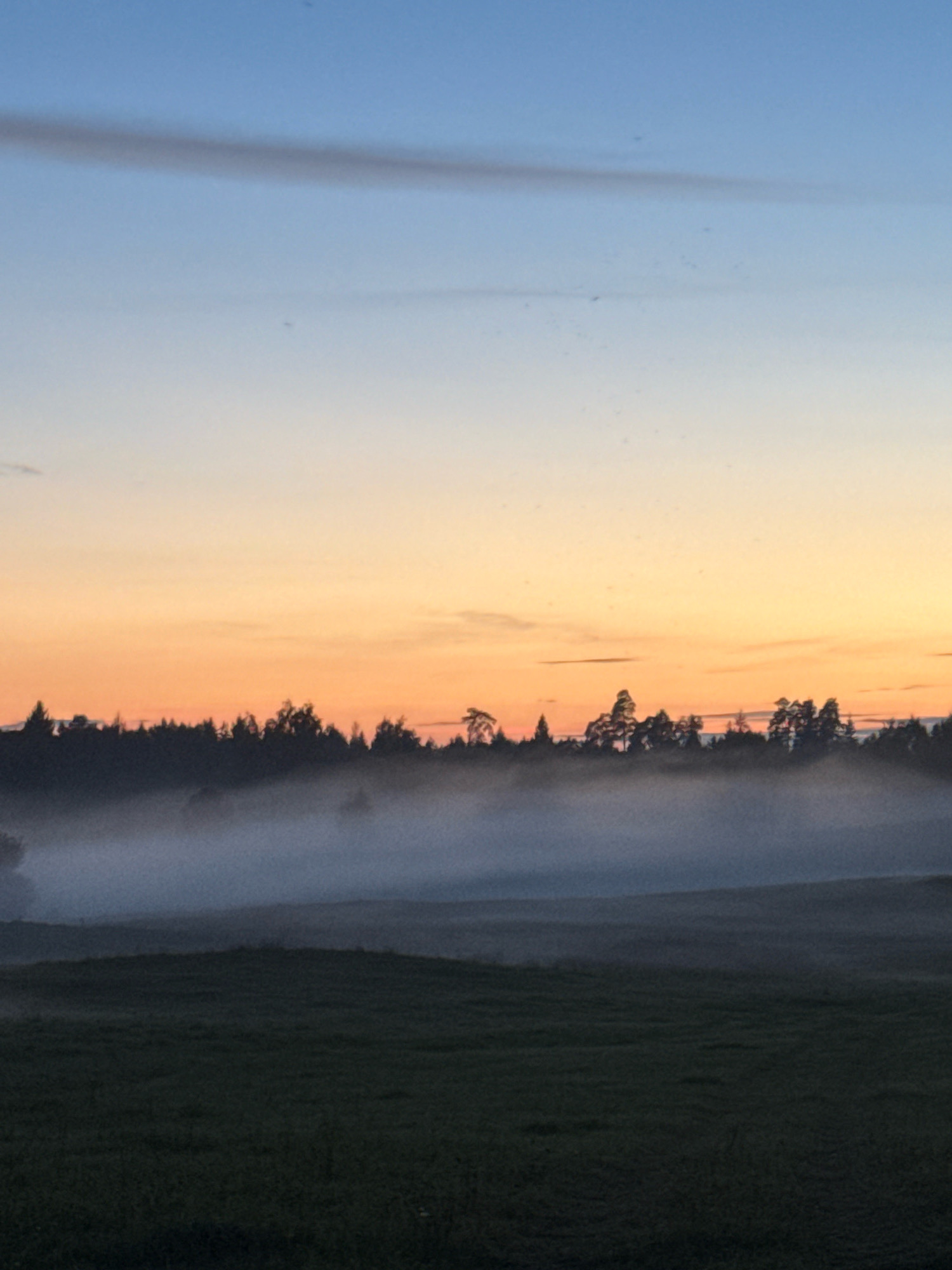 The image depicts a serene landscape at dusk, likely in or near Galinė, Lithuania, characterized by a soft transition of colors in the sky. The upper portion of the sky is a clear, pale blue, gradually blending into a warm, peachy-orange hue closer to the horizon, suggesting the last vestiges of daylight. A thin, dark horizontal streak of clouds or contrail is visible across the upper sky. Below the horizon line, a dense, dark silhouette of trees forms a continuous band across the middle ground. A low-lying mist or fog hovers just above the ground, obscuring the bases of the trees and the landscape immediately beyond them. The foreground consists of a dark, slightly undulating field, appearing to be covered in grass or low vegetation. The overall atmosphere is tranquil and slightly mysterious due to the mist and the fading light. There are no people, animals, or visible structures in the frame.