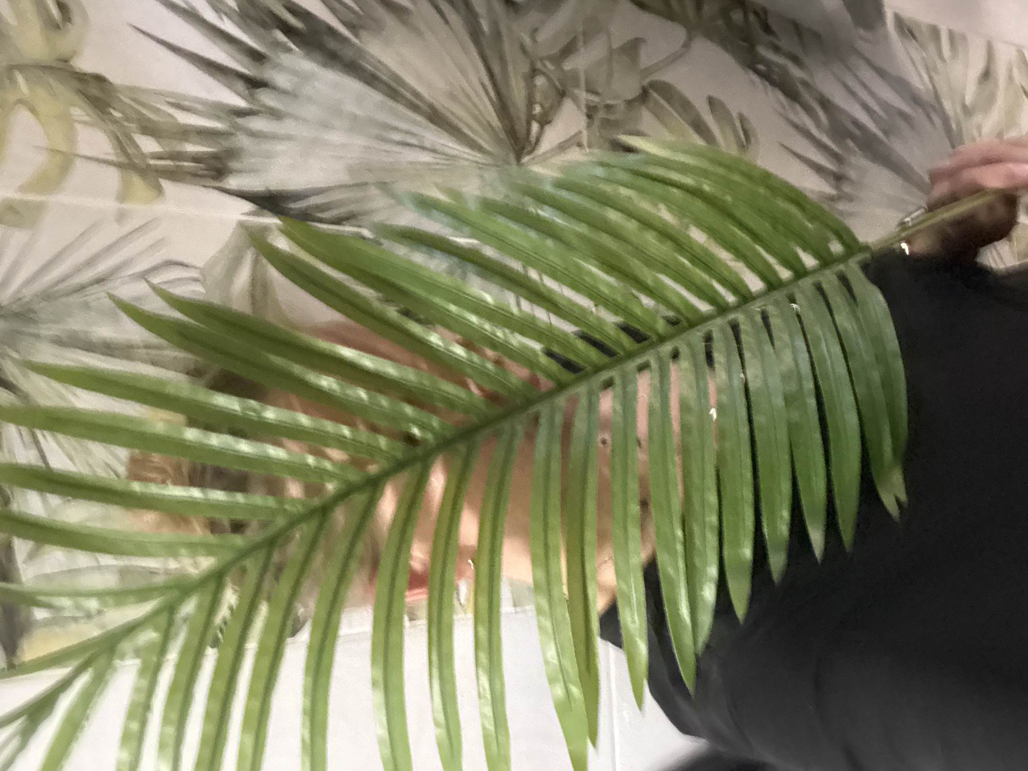 A person wearing a black garment holds a green artificial palm leaf in front of their face. The background includes a wall with a palm leaf pattern. The location is Unknown, Unknown.