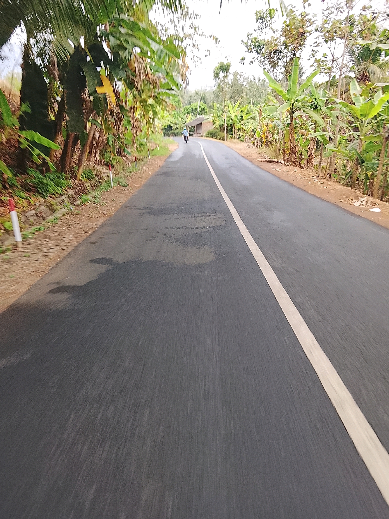 The image depicts a paved road in Sukahurip, Indonesia, with a white line dividing the lanes. The road is flanked by lush vegetation, including palm trees and banana plants, suggesting a tropical or subtropical environment. The scene appears to be captured from a moving vehicle, as indicated by the motion blur in the foreground. In the distance, a person on a motorcycle is visible, traveling in the same direction as the camera. The sky is overcast, casting a soft light on the surroundings. The overall impression is one of a rural road winding through a green, vibrant landscape.