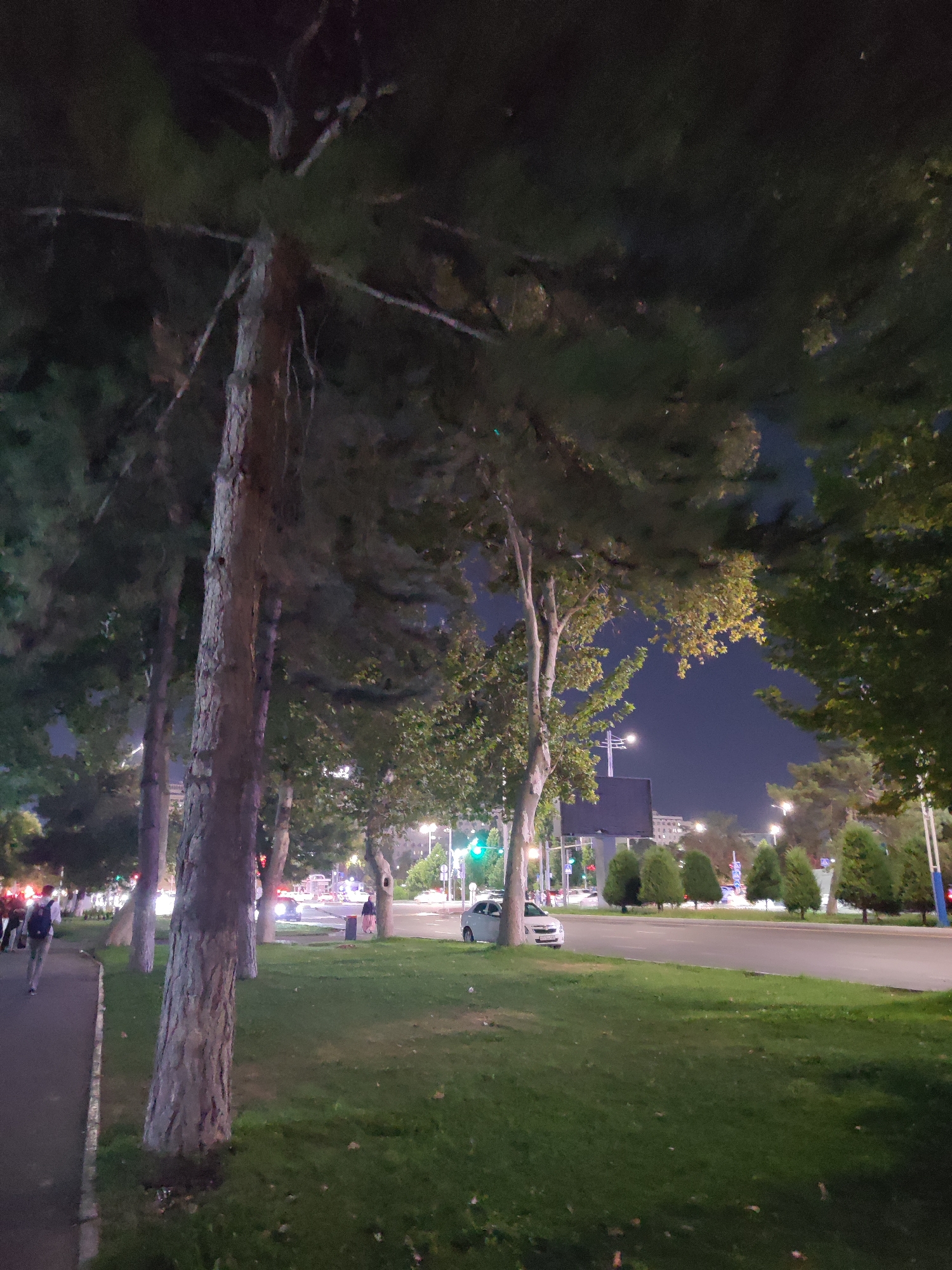 The image depicts a street scene in Tashkent, Uzbekistan, at night. A sidewalk runs along the left side, bordered by a grassy area with several large trees. A few pedestrians are visible on the sidewalk, one of whom is walking away from the camera. Across the street, cars are driving and parked. Streetlights illuminate the scene, casting a soft glow on the surroundings. The sky is dark, indicating nighttime. Buildings and trees are visible in the background, suggesting an urban environment.