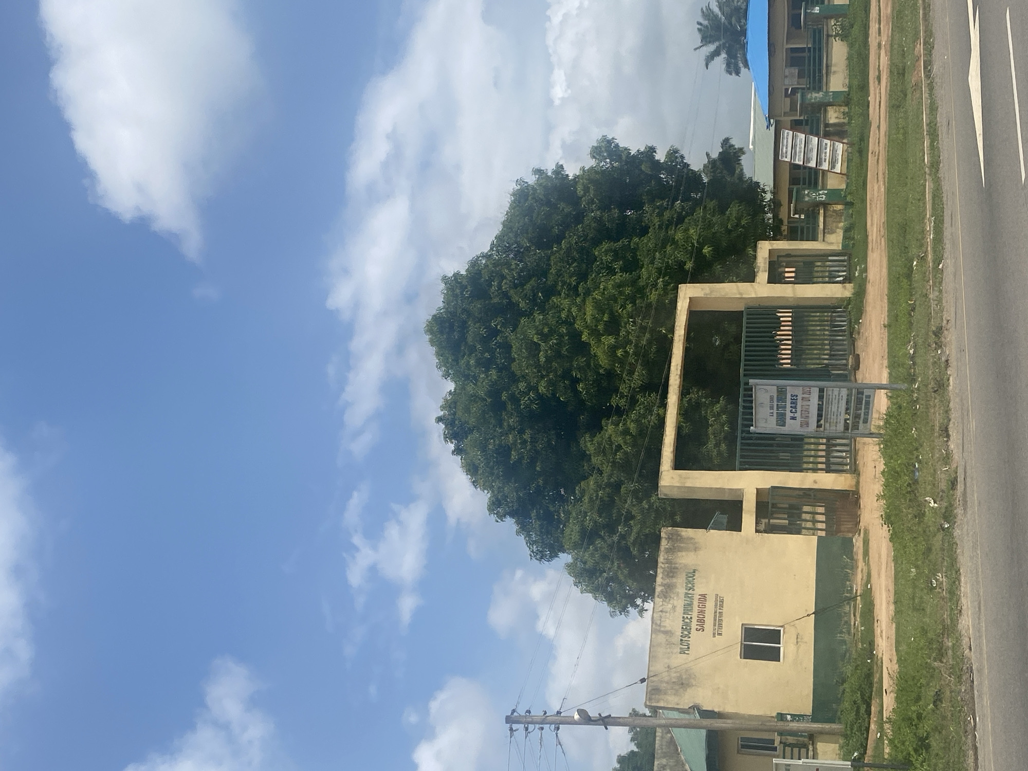 A sunny daytime exterior shot shows the entrance to Pilot Science Primary School in Sabon-Gida, Nigeria. A tall, leafy green tree dominates the background, obscuring much of the sky and the school buildings. The school's main building, painted a pale yellow with a green lower section, features a sign that reads "PILOT SCIENCE PRIMARY SCHOOL, SABON-GIDA" and "INTERVENTION PROJECT." To the right of the main building is an arched entrance with green metal gates. Another signpost stands to the right of the entrance, displaying text with the title "N-CARES." A paved road runs in the foreground, and a white arrow painted on the road indicates a traffic lane. The environment appears to be a semi-urban or rural setting, with vegetation and utility poles visible. There are no people or animals in the frame.
