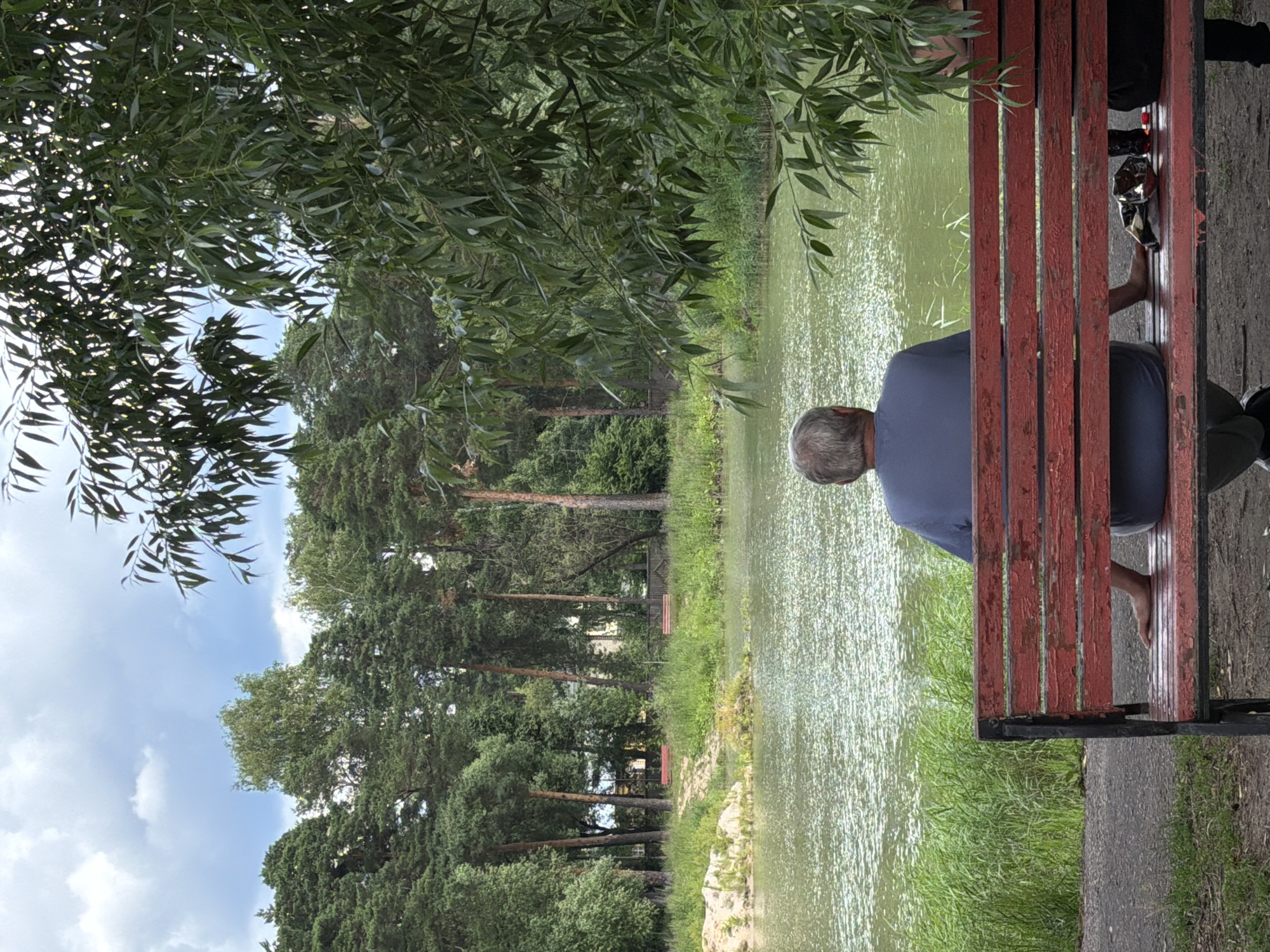 An elderly man with gray hair sits alone on a weathered, red wooden bench in Bykovo, Russia, facing a body of water. He is wearing a dark blue t-shirt and light gray pants. His left leg is extended onto the bench. The bench is positioned on a paved path with a grassy area to the left and the lake to the right. The lake is calm, with the sun reflecting off its surface, and is surrounded by lush green grass and trees. In the background, a dense forest of various trees lines the far bank of the lake. The sky above is partly cloudy.