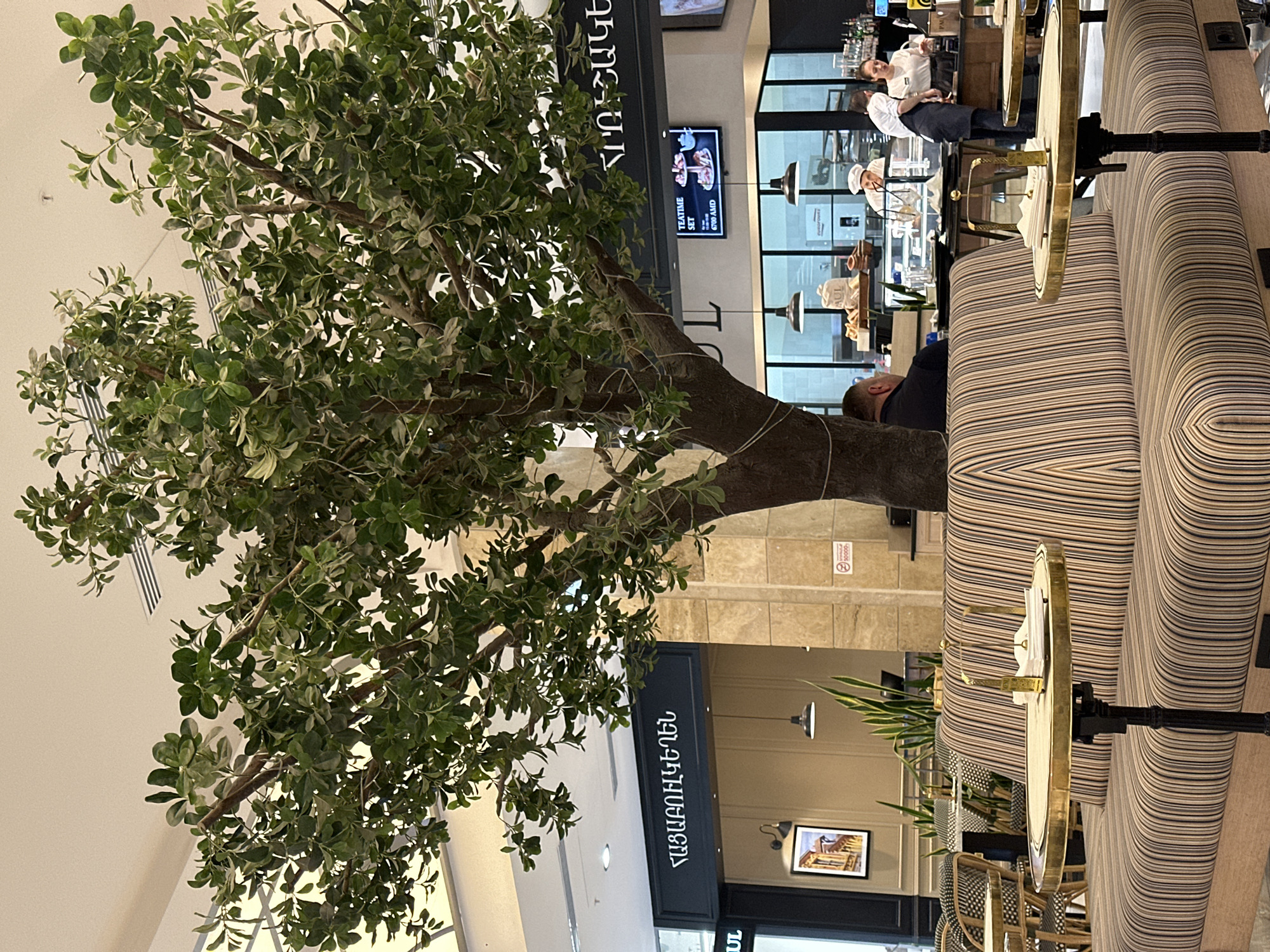 The image captures the interior of a cafe or restaurant, likely located within a larger building such as a mall, in Yerevan, Armenia. A large artificial tree with dense green and light-colored foliage dominates the left side of the frame, its trunk stretching vertically.
In the background, a service counter is visible where two staff members, dressed in white uniforms or chef jackets, are working. One staff member is attending to the counter, while the other is further back. A male customer is seated at a striped upholstered booth in the middle ground, viewed from behind. Small, round tables with golden rims are placed in front of the booths.
Visible details include:
* A digital display screen showing "TEATIME SET" and a price of "6799 AMD" (Armenian Dram).
* A large black sign with Armenian text that reads "ԹԱՄԲԱԿԱԾԽՈՒԹՅՈՒՆ", which translates to "Smoking".
* Another black sign above a doorway entrance with Armenian text "ՊԱՏՐԱՍՏՎԱԾ Է", meaning "Prepared In" or "Made In".
* A partially visible brand name "PAUL" on an item behind the counter.
* A "no smoking" sign prominently displayed on a pillar, showing a crossed-out cigarette and the number "100000" (likely indicating a fine in AMD).
* Pendant lights and a framed picture adorn the walls.
The scene appears well-lit by artificial indoor lighting, suggesting either daytime indoors or evening. The overall atmosphere is that of a modern, inviting cafe setting.