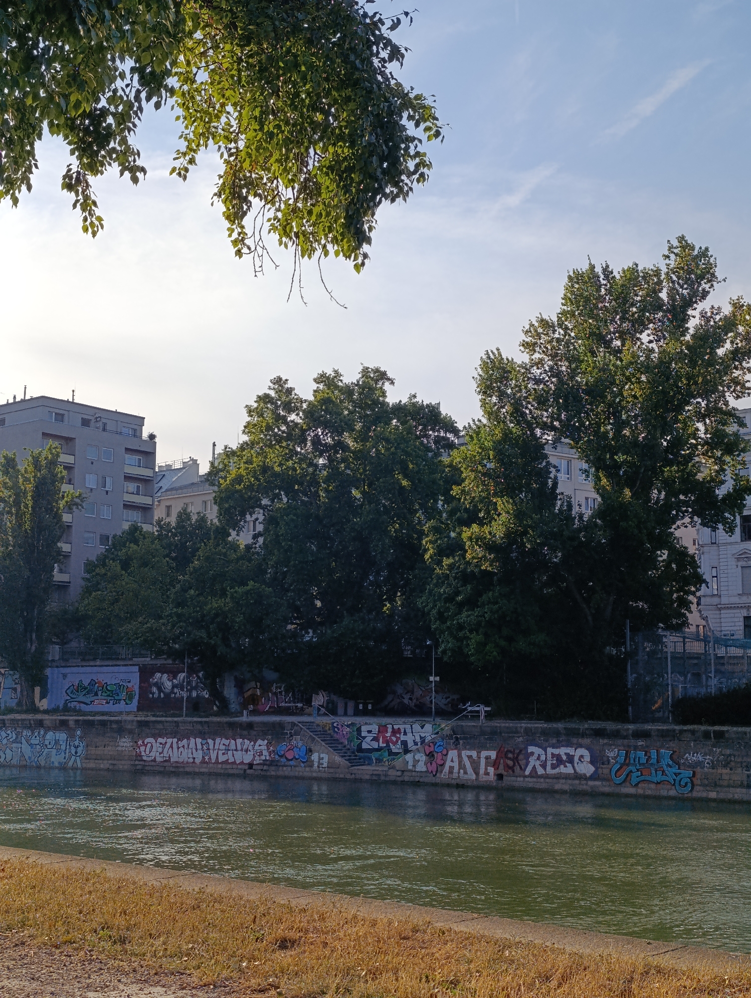 The image shows a view of the Danube Canal in Vienna, Austria, on a sunny day. In the foreground, a grassy bank runs along the canal. The canal itself is a murky green color, with a gentle ripple on its surface.
Along the canal wall, there is a large amount of graffiti. The graffiti is colorful and varied, with different styles and tags visible. Some of the graffiti includes words like "OZON VENUS" and "ASK REEC".
Behind the canal wall, there are several buildings. On the left, a modern, grey apartment building with multiple stories is visible, featuring many windows and balconies. To the right of this building, there are more buildings of varying heights and architectural styles, some appearing older and with ornate details.
The scene is framed by lush green trees. Some of the trees are tall and slender, while others are large and sprawling, with dense foliage. The upper part of the image is dominated by the sky, which is a pale blue with a few wispy clouds. Sunlight is filtering through the leaves of a tree in the upper left corner, casting dappled light on the scene.
No people are clearly visible in the image, and no specific actions or interactions are depicted. The overall impression is one of an urban landscape where nature, urban architecture, and graffiti art coexist along the waterway.