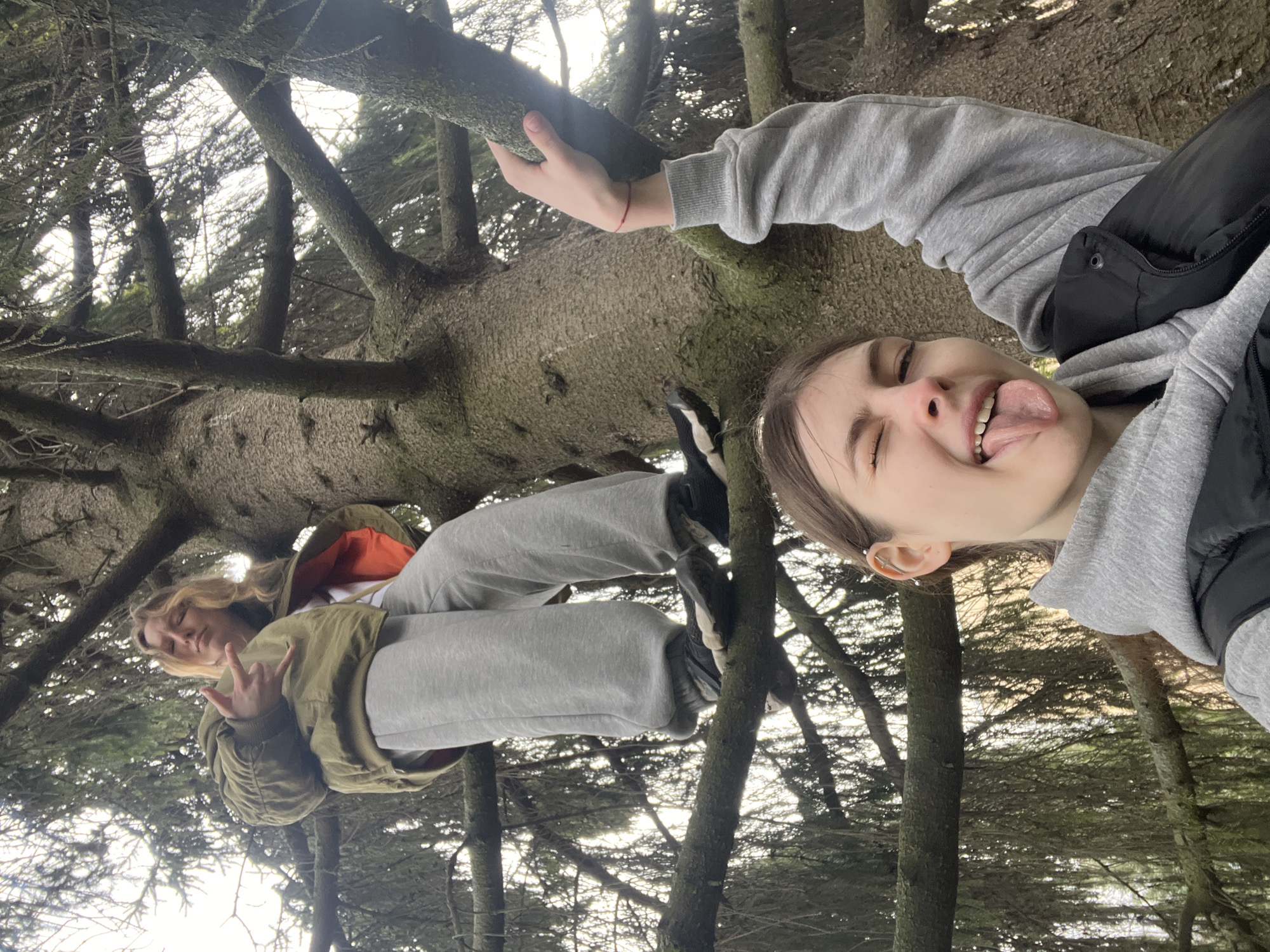 Two young women are in a forest in Saint Petersburg, Russia. One is positioned higher up in the trees, seemingly sitting or lying on a thick, fallen branch. She wears a green jacket, grey sweatpants, and dark shoes. She makes a hand gesture that appears to be rock-on. The other young woman is closer to the camera. She wears a grey hoodie with a black puffy vest and grey sweatpants. She's sticking her tongue out. The forest consists of thin pine trees. The sky is overcast.