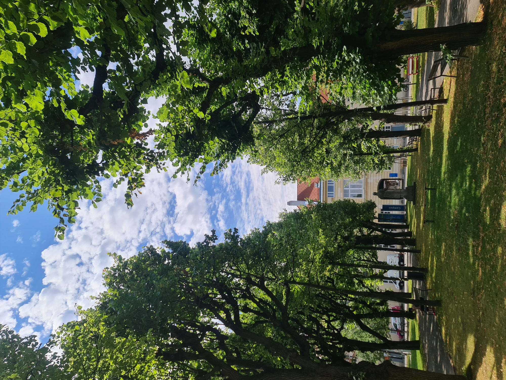 The image shows a tree-lined pathway in a park, likely in Vienna, Austria, with a building in the background. The pathway is paved and curves to the right, bordered by lush green grass. Several park benches are visible along the pathway and in the grassy areas. In the distance, a light-colored building with red-tiled roofs and white-framed windows stands under a bright blue sky with scattered white clouds. The trees are tall with dense green foliage, creating a canopy that partially shades the park. Near the center of the image, a statue is positioned on a pedestal. A person is seated on a bench on the left side of the pathway, partially obscured by trees. Vehicles, including a white van and a car, are visible in the background on a street adjacent to the park.