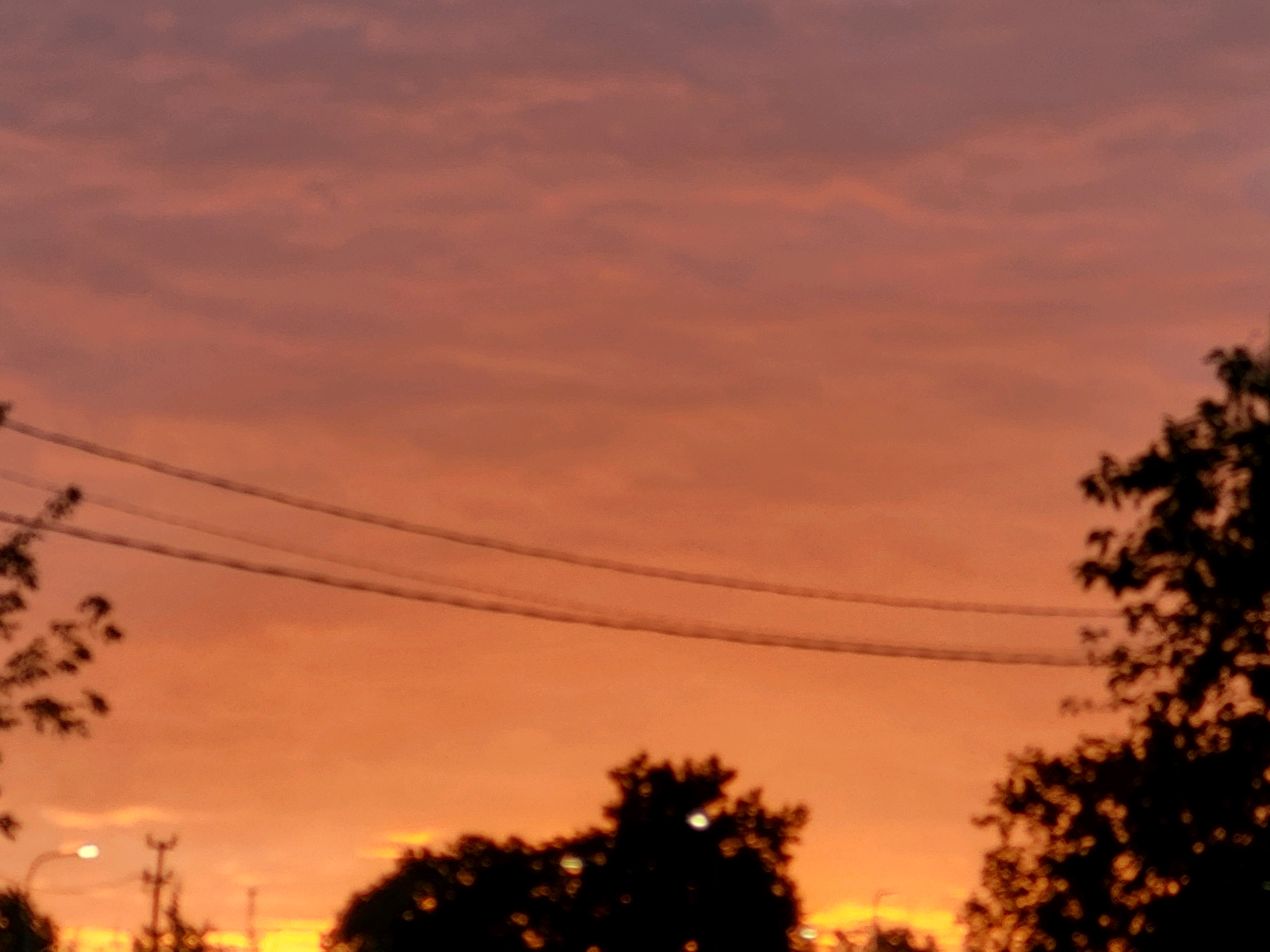 The image captures a sunset over a city, possibly Jelgava, Latvia, with a sky dominated by hues of orange and pink. Silhouetted against the colorful sky are trees and power lines. The overall scene is blurry, suggesting a low-resolution image or a focus on the atmospheric effect of the sunset rather than sharp detail.
