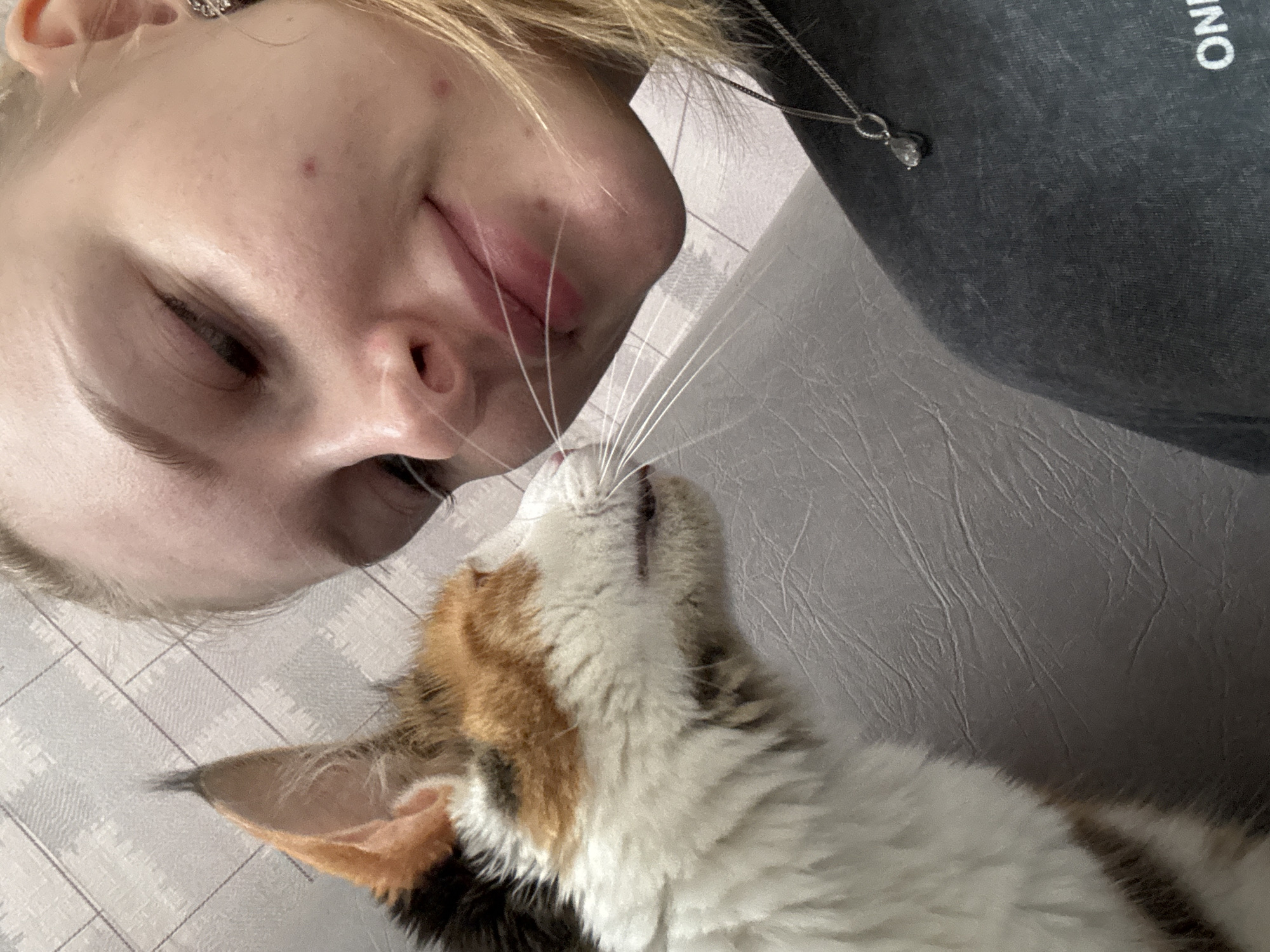 A person and a calico cat are interacting indoors. The person, with blonde hair and light skin, has their face close to the cat's head, possibly nuzzling or about to kiss the cat. The cat, with a mix of white, orange, and black fur, is looking up at the person, its whiskers prominent. The background shows a gray surface with a subtle patterned texture, possibly a blanket or upholstery. The environment appears to be a home or personal space. No evidence in the image suggests the city of Бородулино, Russia.