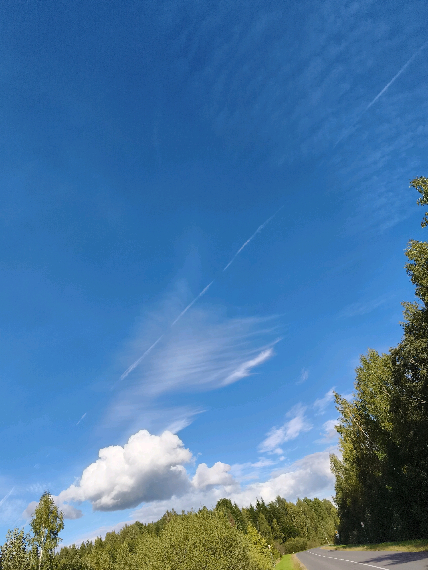 The image shows a bright, clear blue sky with wispy white clouds and a few contrails. On the right side of the frame, the lush green foliage of trees frames the scene, with a portion of a paved road curving into the distance on the lower right. The road appears to be an asphalt surface with white lane markings. The landscape is dominated by dense green trees and vegetation, suggesting a rural or natural setting, possibly within the area of Горскі сельскі Савет, Belarus. There are no people or animals visible in the image. The overall impression is of a sunny day in a scenic, natural environment.