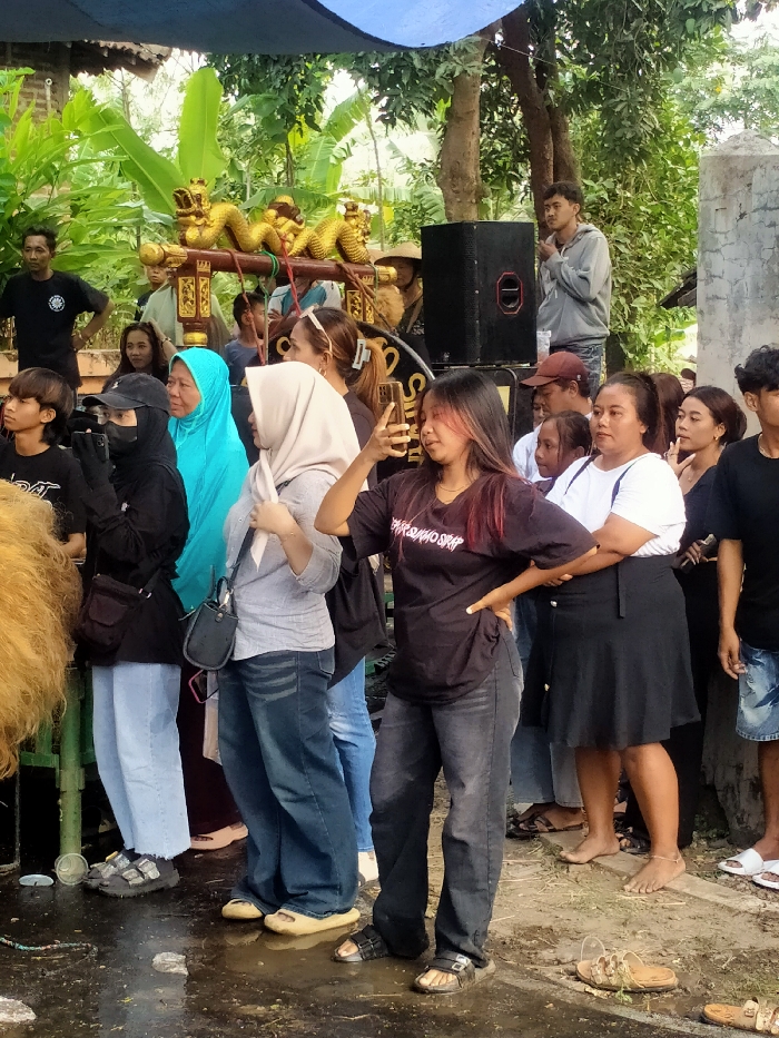 This image depicts an outdoor gathering of approximately twenty individuals in the city of Jenggrik, Indonesia, amidst lush green foliage under what appears to be a partial blue canopy. The scene features a crowd of men and women of various ages observing an activity occurring to the left, outside the frame.
In the mid-ground, a prominent traditional wooden structure adorned with two golden dragon figures is visible, resting on an ornate stand. Behind the crowd, a large black speaker box with red details is present. The ground in the foreground is wet and muddy, with standing water and scattered debris, including discarded plastic cups and a pair of broken brown sandals.
Key individuals include a young woman in a black t-shirt with "BALAKARMA SHOP" text and dark jeans, holding a smartphone vertically with her left hand on her hip. Next to her, a woman in a white t-shirt and black skirt stands barefoot with her arms crossed. Further left, a woman in a light beige hijab, grey shirt, and dark jeans is holding a smartphone. Another woman in a bright turquoise hijab stands beside her. To the far left of this group, a woman in a black hijab, black long-sleeved shirt, and black mask is actively recording with a smartphone. In the background, a man in a grey hoodie stands elevated on a speaker or platform, observing the scene. Many individuals are engaged with their mobile phones, capturing the event.
