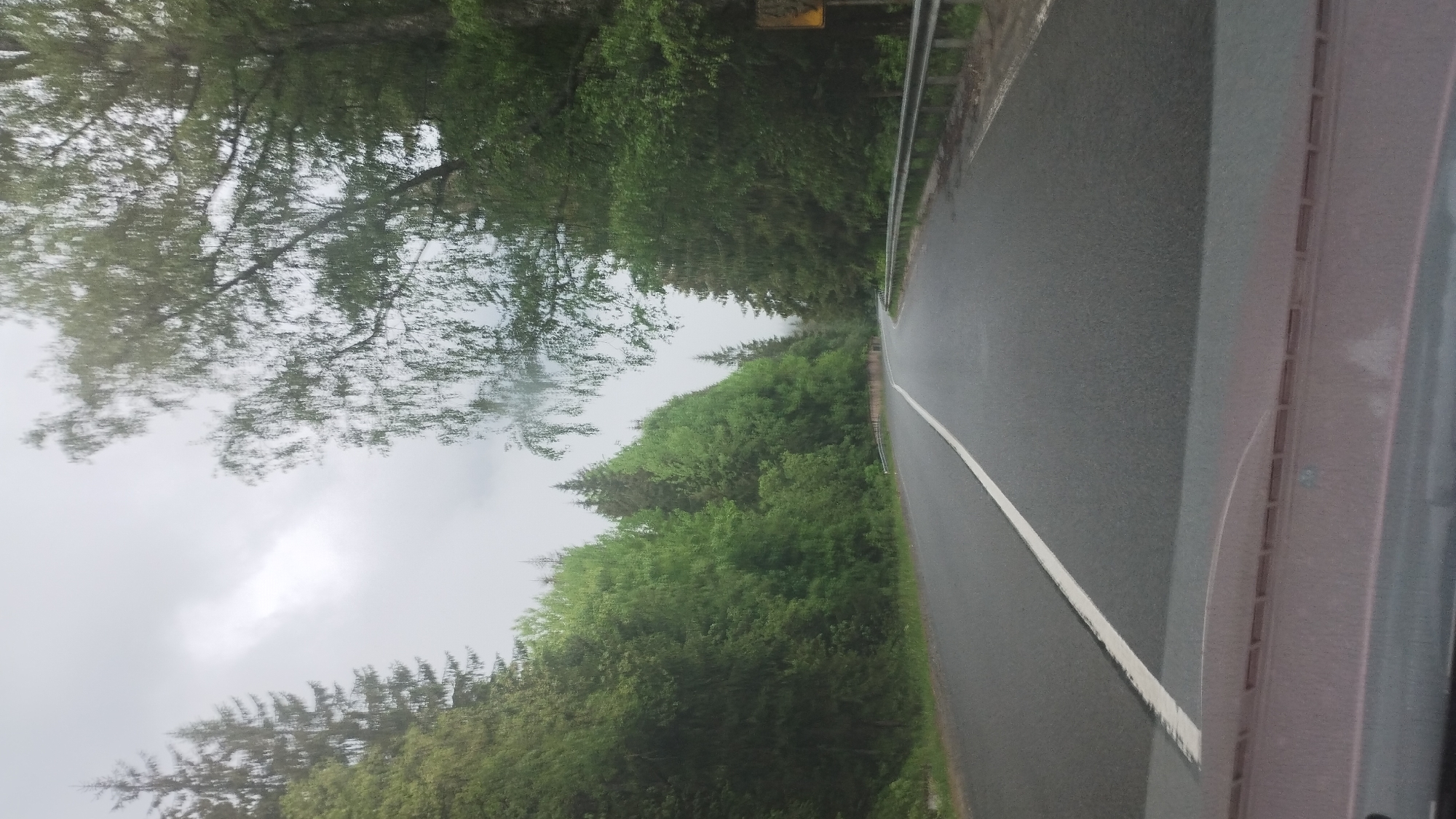 The image depicts a view from a vehicle traveling along a paved road through a densely wooded area. The road has a white line marking the center. On the left side of the road, lush green trees and foliage create a dense forest. On the right side of the road, a metal guardrail runs alongside the pavement. The sky is overcast with some clouds visible. The overall impression is that of a drive through a forest on a possibly damp or overcast day. There is a yellow sign visible on the guardrail in the upper right portion of the image, but the text on it is illegible due to the resolution. The image appears to have been taken during daylight hours, given the visibility. The orientation of the image suggests it may have been taken while the vehicle was moving.