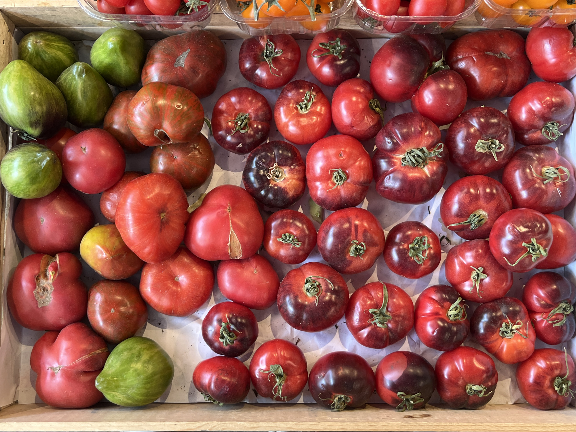 The image shows a close-up, overhead view of a wooden crate filled with a variety of tomatoes. The tomatoes are of different sizes, shapes, and colors, including red, deep red, green, and bi-colored varieties. Some tomatoes are smooth and round, while others are more irregular in shape with visible cracks or indentations. Many of the tomatoes have green stems attached. The crate itself appears to be made of light-colored wood. The tomatoes are densely packed, filling the entire frame of the image. The background is the interior of the wooden crate. The lighting is natural and even, suggesting an indoor setting or an overcast day.