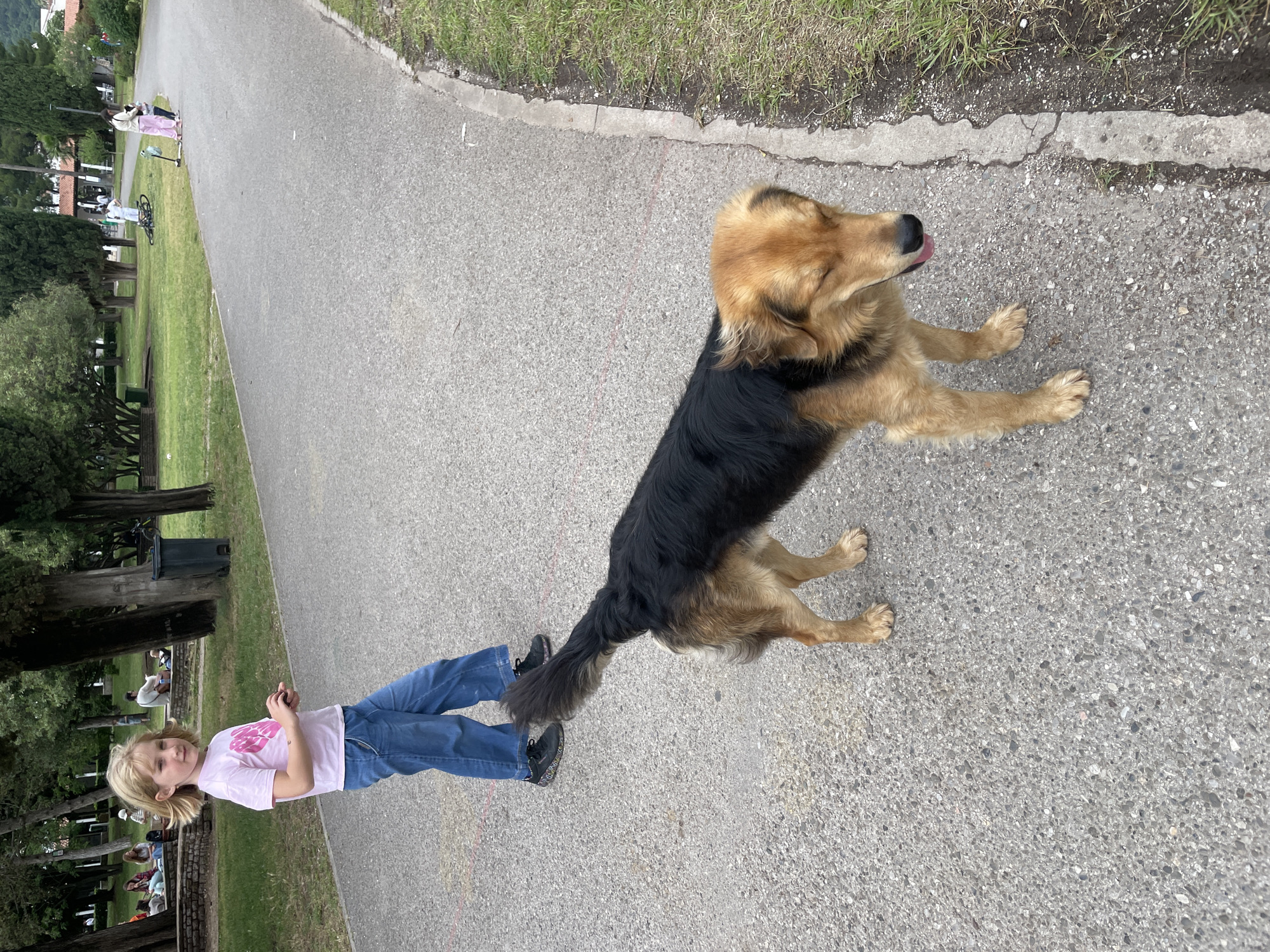 A medium-shot captures a young girl and a dog on an asphalt path. The girl, with blond hair, wears a pink t-shirt and blue jeans, standing to the left of the frame. A large, black and tan dog stands on the right side of the path. The surrounding environment includes green grass and trees in the background. The location is Budva, Montenegro.