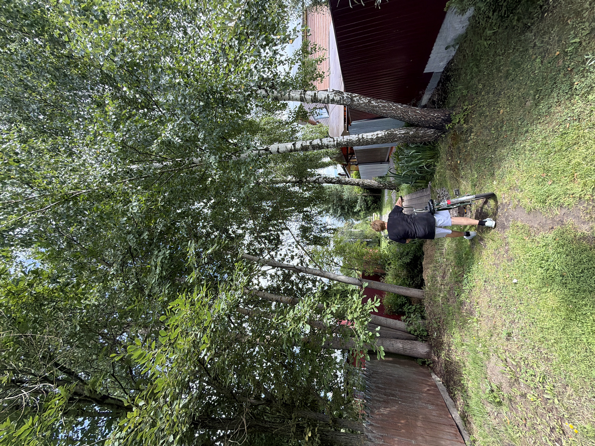A person with blond hair, wearing a black t-shirt and light blue shorts, walks on a dirt path with a bicycle. The person is walking away from the camera, towards a heavily treed area. The trees are a mix of deciduous trees with green leaves and birch trees with white bark. A wooden fence, painted a reddish-brown, runs along the left side of the path. On the right side of the path, a dark red corrugated metal fence is visible, with a portion of a wooden house behind it. The ground is covered with grass and some patches of dirt. The sky is partially visible through the trees and appears to be overcast. The location is identified as Нерудник Снт, Russia.