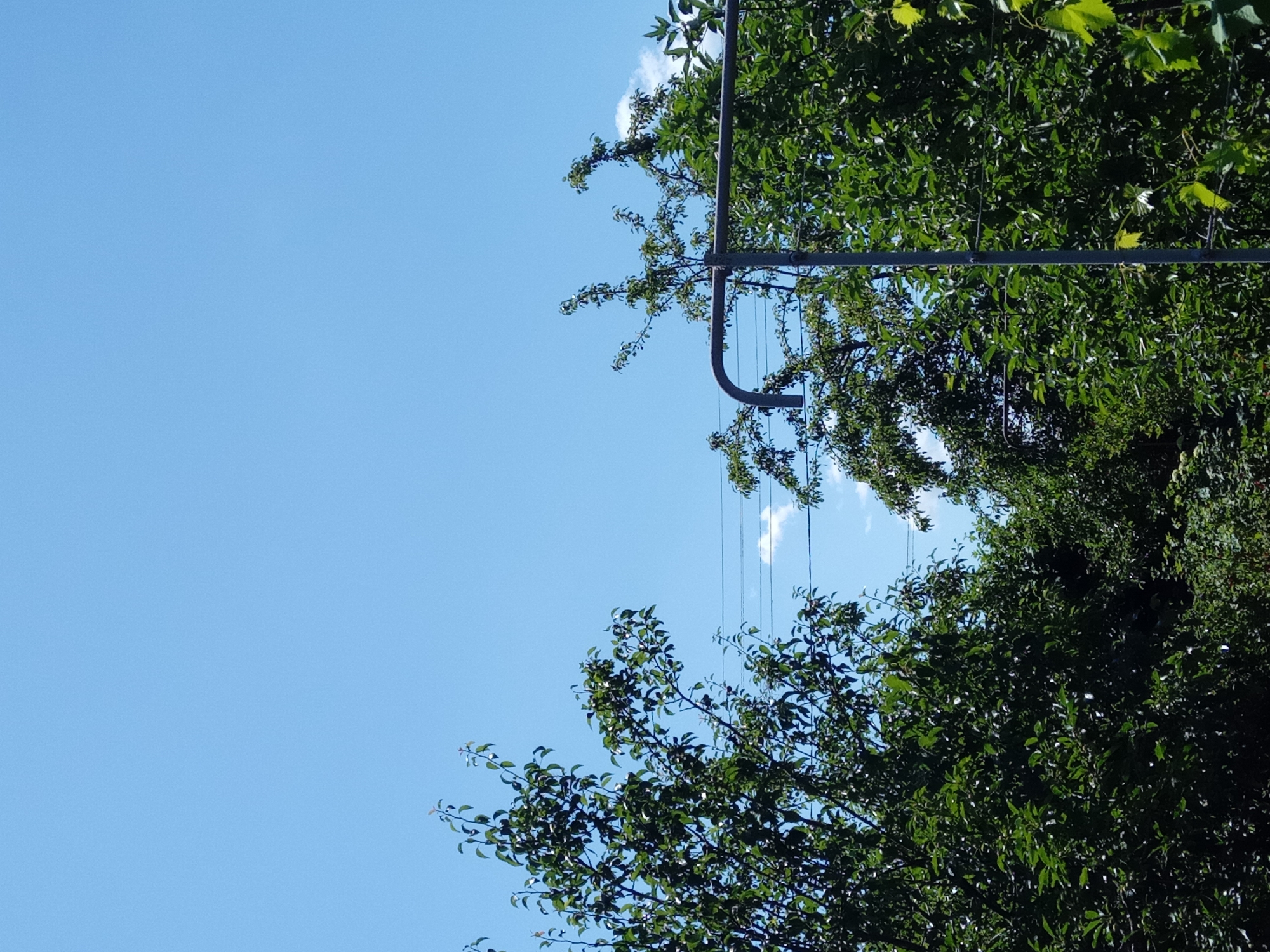 The image shows a bright, clear blue sky above a dense canopy of green trees. In the mid-ground, there are several power lines strung between poles, partially obscured by the foliage. A curved metal pole, possibly part of a clothesline or an antenna, is visible in the right half of the frame, extending upwards into the sky and through the trees. The environment appears to be an outdoor, possibly residential or park-like setting in the village of Kitskany, Moldova, given the presence of vegetation and utility infrastructure. There are no people or animals visible in the image.