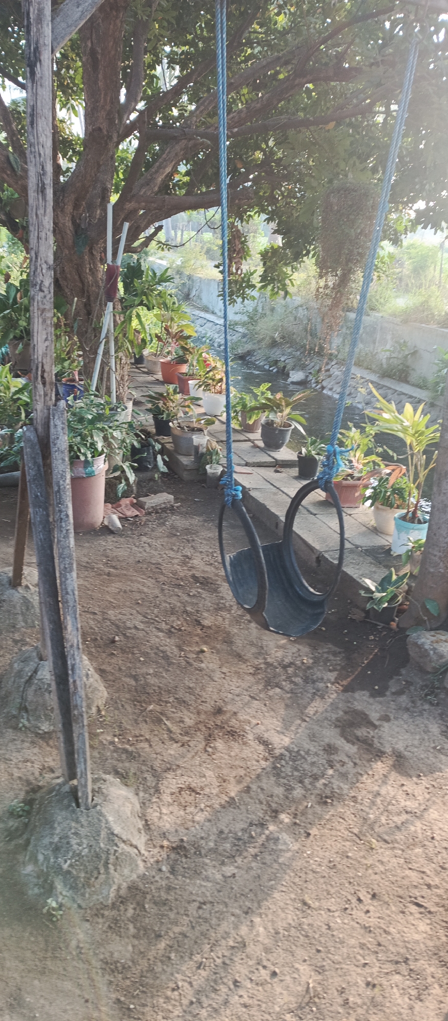 In the city of Jatisari, Indonesia, an outdoor scene unfolds with a focus on a handmade tire swing hanging from a large tree. The swing, constructed from a black tire and secured with blue ropes, dangles in the foreground, casting a shadow on the dusty ground. To the left, a thick tree trunk and rustic wooden posts form part of the swing's support structure. The background reveals a narrow waterway or canal, lined with concrete and a stone embankment. Along the edge of the canal, numerous potted plants are arranged on a paved walkway, adding a touch of greenery and domesticity to the natural setting. The sunlight filters through the tree's leaves, creating a dappled light effect across the scene.