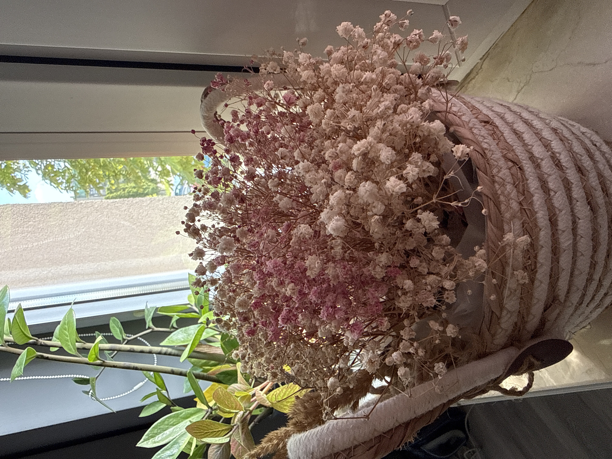 The image shows a basket filled with dried flowers, some of which are pink and white. The basket is made of woven rope and has a handle. Behind the basket, there is a houseplant with green leaves. The scene appears to be indoors, near a window with sunlight streaming through. There is no indication of the specific location in the city of Łódź, Poland.