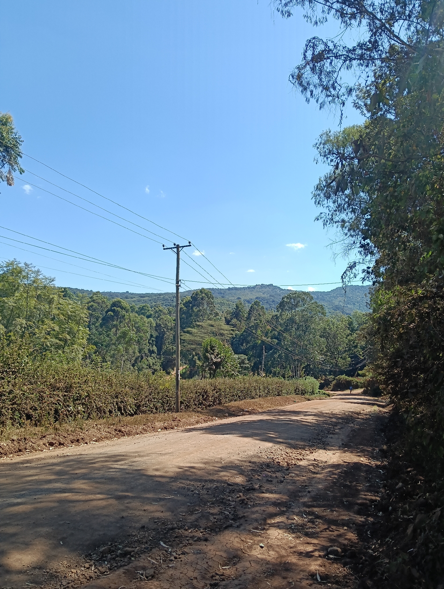 The image shows a dirt road winding through a lush, green landscape under a clear blue sky. The road is uneven, with patches of loose gravel and soil, and it is shaded by trees on either side. Power lines stretch across the scene, supported by a wooden pole. In the distance, rolling hills covered in dense forest are visible. The overall impression is of a rural or semi-rural area, possibly in Keekonyokie ward, Kenya, given the vegetation and terrain. There is a single person visible walking on the road in the distance, suggesting a tranquil and sparsely populated environment. The sunlight creates dappled shadows on the road, indicating it is daytime.