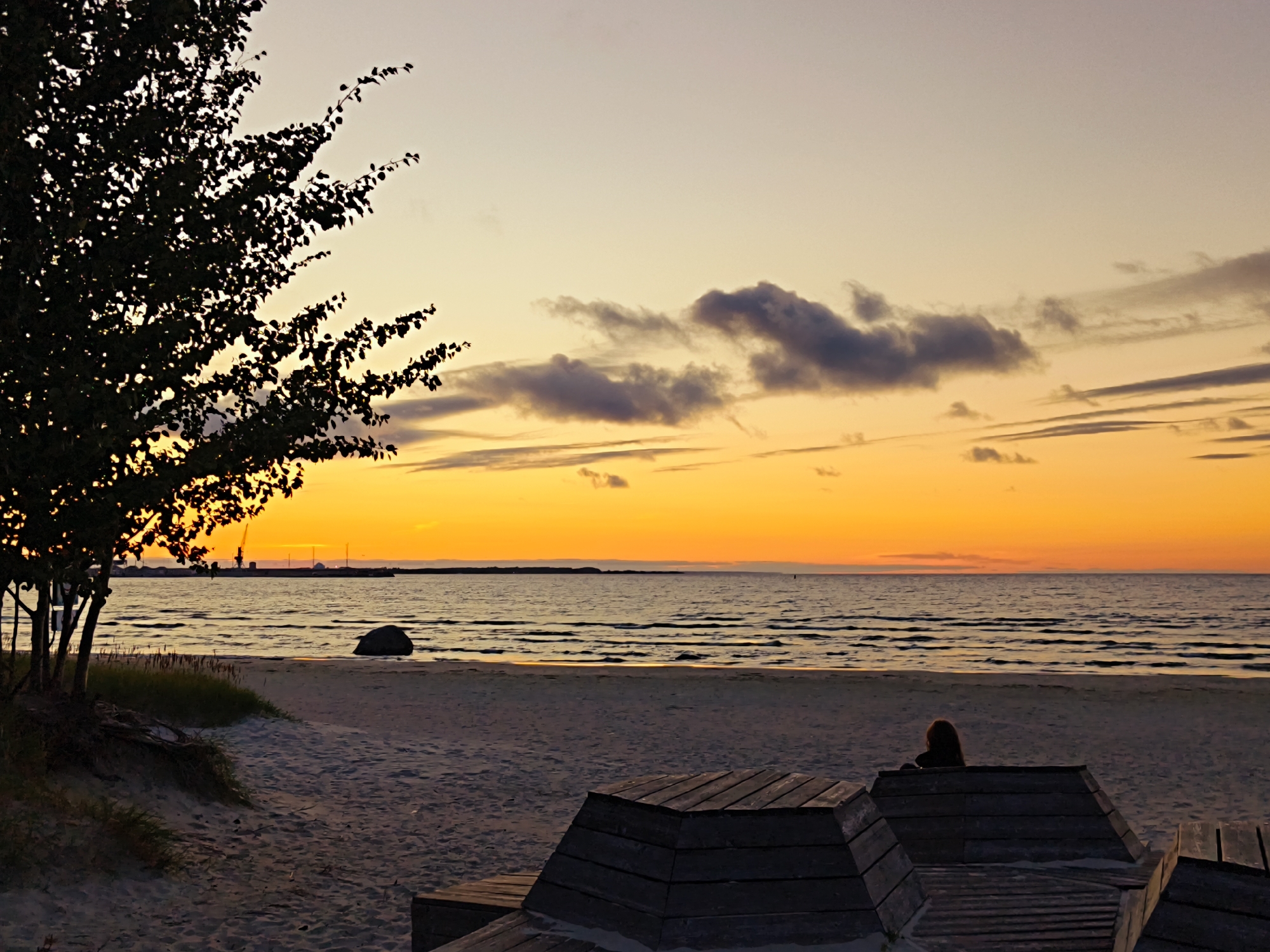 A serene sunset scene unfolds on a sandy beach in Tallinn, Estonia, with the Baltic Sea stretching to the horizon. In the foreground, several wooden benches are arranged on the sand, some empty and others occupied. One bench, in the lower right quadrant of the image, is occupied by a lone individual with reddish-brown hair, seen from behind, facing the sea. To the left, a silhouetted tree with dark leaves stands prominently against the vibrant sky. The sand is a light tan color, with some patches of dry grass and vegetation near the tree. The sea is calm, with gentle waves lapping the shore. In the distance, a large rock rests in the water, and further out, industrial structures and cranes are visible on the coastline. The sky is a brilliant display of sunset colors, transitioning from a deep orange at the horizon to a soft yellow and then a pale beige towards the top of the frame. Wisps of dark clouds are scattered across the sky, adding depth and texture to the atmospheric scene. The overall impression is one of peaceful contemplation and natural beauty.