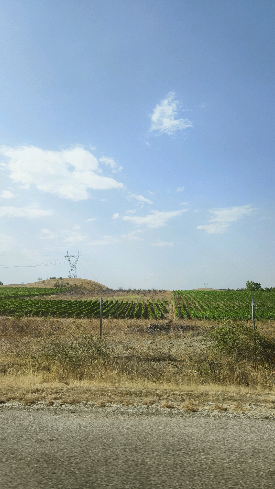 The image depicts a rural landscape in Palikura, North Macedonia, under a clear blue sky with scattered clouds. The foreground features a grey asphalt road, followed by dry, yellow grass and a chain-link fence. Beyond the fence, neatly arranged rows of vibrant green crops, likely vineyards, stretch across a gently sloping field. In the mid-ground, a large, metallic pylon stands on a hill, supporting power lines that extend towards the left of the frame. The background is dominated by the expansive sky and a hazy horizon, suggesting a warm, sunny day. No people or animals are visible in the scene.