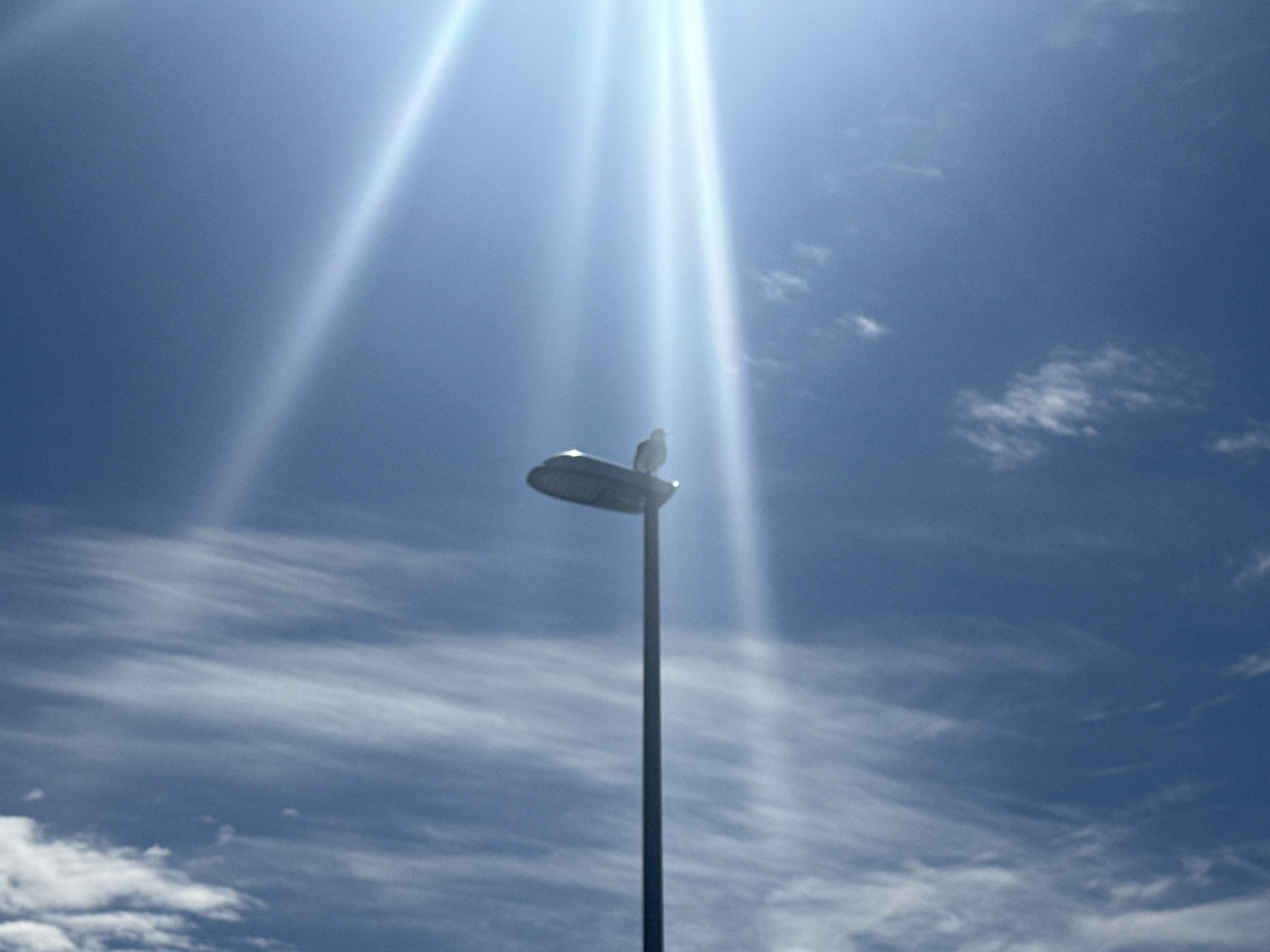 The image shows a lamppost against a bright blue sky with wispy white clouds. Sunbeams are visible, creating a lens flare effect. A single bird is perched on top of the lamppost. The setting appears to be outdoors, and given the information that the location is Sund, Norway, it is likely an urban or semi-urban area. There are no people or any other significant objects or actions visible in the frame.