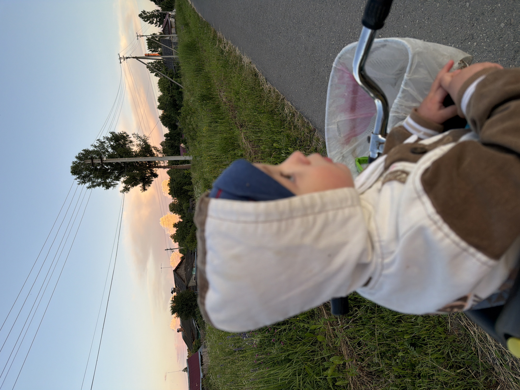 A young child wearing a white hooded jacket and a blue beanie is sitting in the front basket of a bicycle, facing right. The child's hands are resting on the handlebars. The bicycle is on an asphalt road. To the left of the road is a grassy area with wildflowers, and beyond that, a line of trees and several rural houses with wooden fences and chimneys. Power lines stretch across the sky. The sky is a soft blue with wispy pink and orange clouds, suggesting it is either sunrise or sunset. A tall tree stands near a utility pole on the left side of the frame. The scene appears to be in a rural area, possibly the village of Krasny Mayak, Russia, given the characteristic wooden houses and rural landscape.
