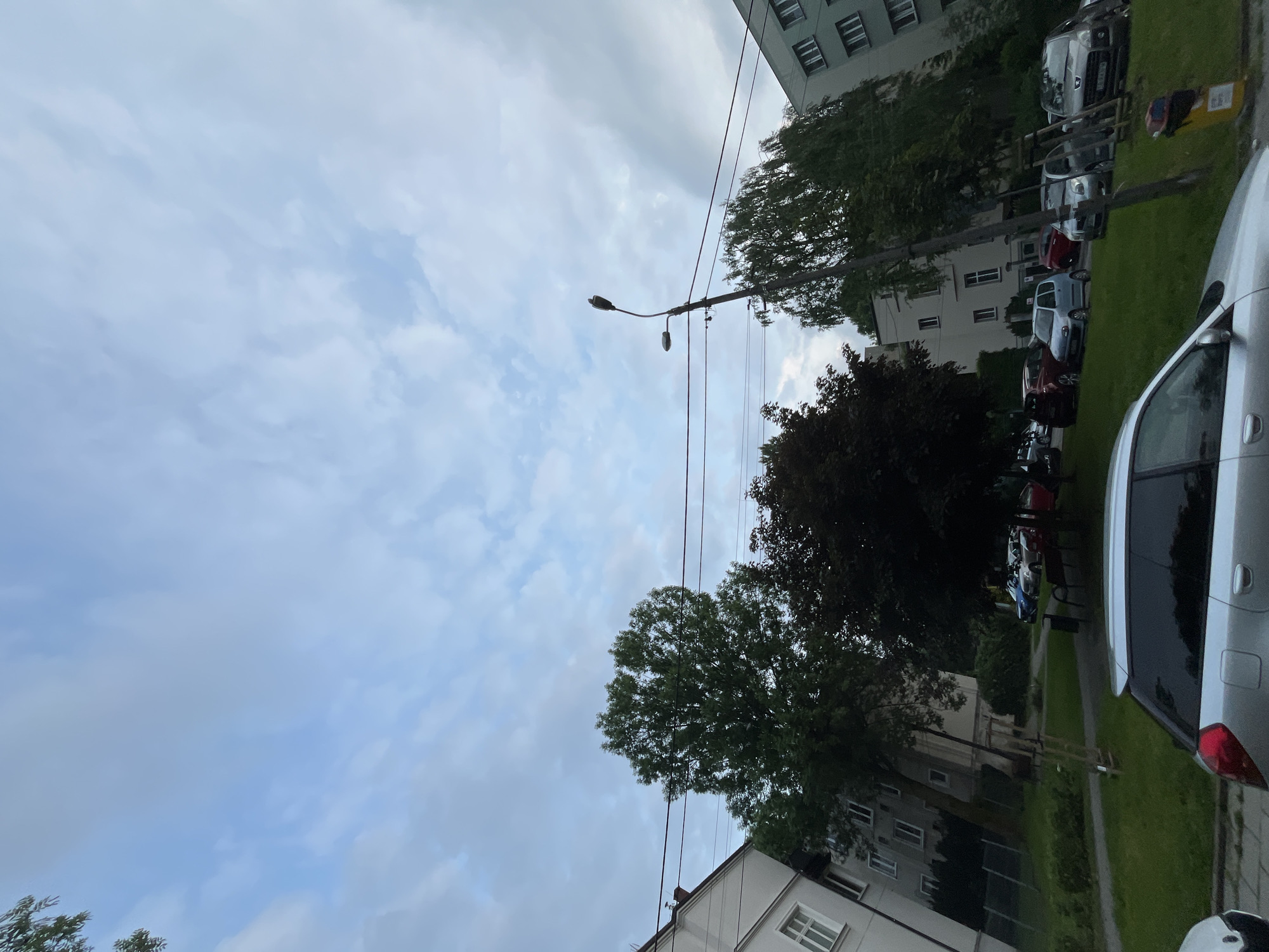 The image, rotated 90 degrees clockwise, captures an outdoor urban or suburban street scene under a cloudy sky. In the lower and middle sections, numerous cars are parked along what appears to be a roadside parking area or street. A silver car's rear is prominent on the right, and other visible vehicles include a white car, a grey car with the faint "PEUGEOT" emblem on its rear, and a red car, among others. A yellow recycling bin with an illegible symbol and text is visible further down the street.
The parking area is bordered by strips of green grass and a paved sidewalk. Behind the cars and greenery, multi-story apartment buildings with visible windows and light-colored facades are present. Various trees with dense green foliage are interspersed throughout the scene, some appearing darker than others due to lighting or species.
The upper portion of the image is dominated by a light blue, overcast sky filled with diffused white and grey clouds. A street light pole with a single luminaire and an additional small fixture extends into the sky from the right side. Multiple dark utility wires crisscross the frame, connecting to unseen poles or buildings.
The diffused light suggests an overcast day or possibly late afternoon/early evening, as there are no strong shadows. There are no people visible, and no specific activities are taking place, creating a static depiction of a residential environment.