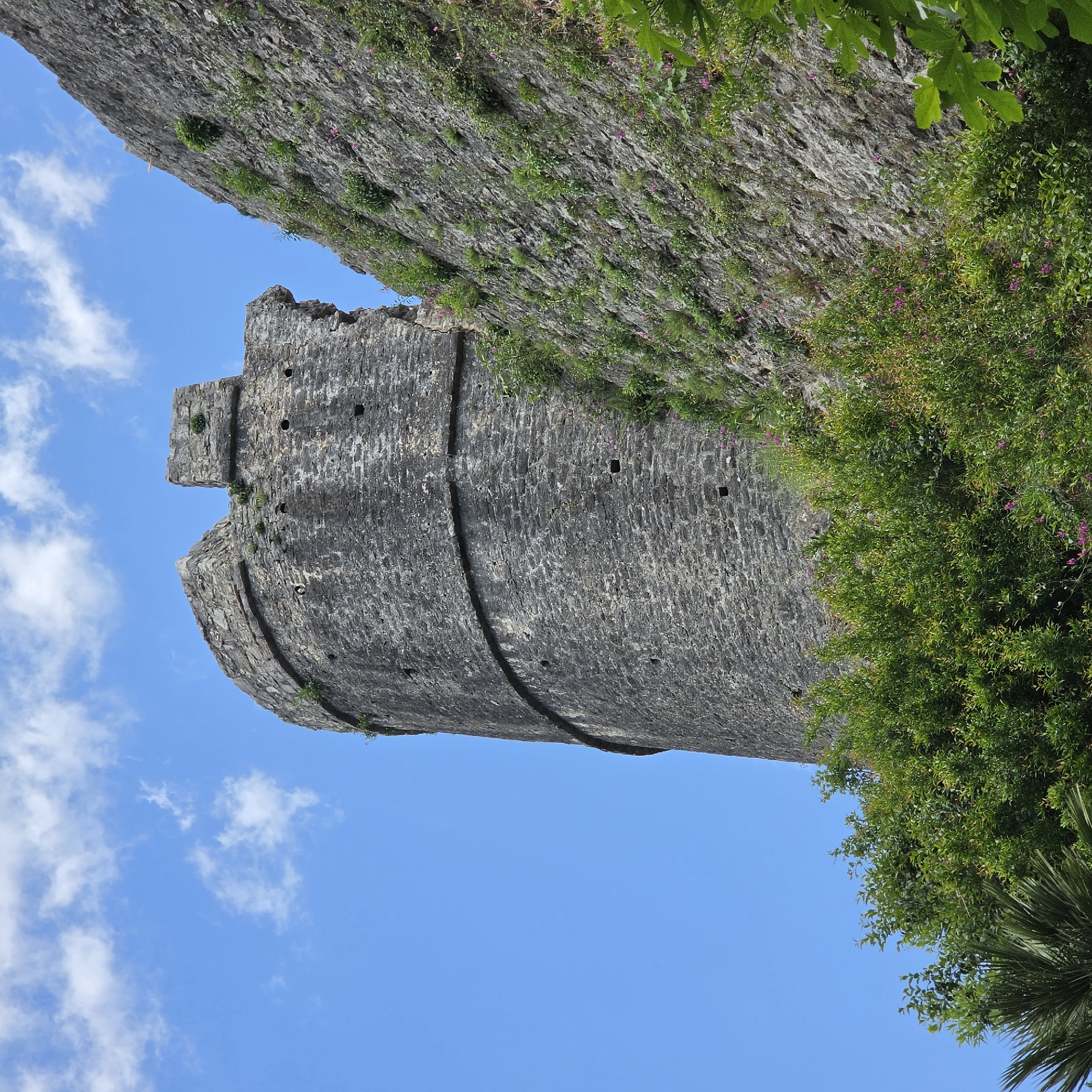 The image shows a stone tower of the Forte Mare fortress in Herceg Novi, Montenegro, viewed from below. The tower is cylindrical with a protruding platform at the top and is constructed of grey stone. The lower part of the tower is set against a bright blue sky with scattered white clouds. Vegetation, including greenery and pink flowers, grows on the tower and adjacent stone walls. The corner of another stone structure appears above the tower, also covered in vegetation. Lush green foliage is visible to the right of the tower. The image is rotated counter-clockwise by approximately 90 degrees.