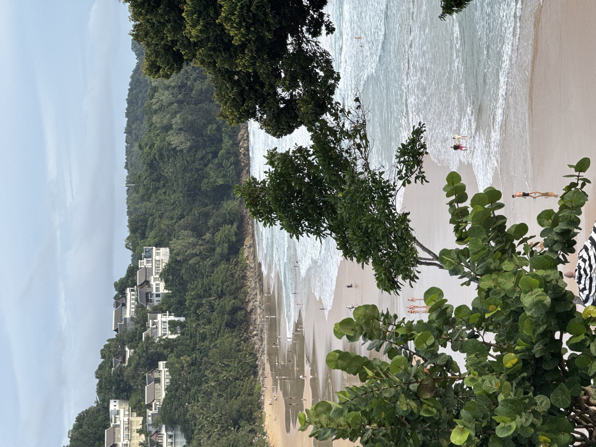 The image captures a scenic view of Kata Noi Beach in Sakhu, Thailand, from an elevated perspective. The foreground is dominated by lush green foliage, with large, rounded leaves of a tropical plant obscuring parts of the scene. Beyond the vegetation, the wide, sandy expanse of Kata Noi Beach unfolds. Numerous people are scattered across the beach and in the shallow waters, engaged in various activities. Some are wading, while others stroll along the shoreline or stand in groups. The ocean is calm with gentle waves breaking on the sand, creating white foam. In the background, a densely forested hillside rises, dotted with modern white villas, suggesting a resort or residential area. The sky is overcast, with a soft, diffused light. The overall impression is one of a tranquil beach day in a tropical setting.
