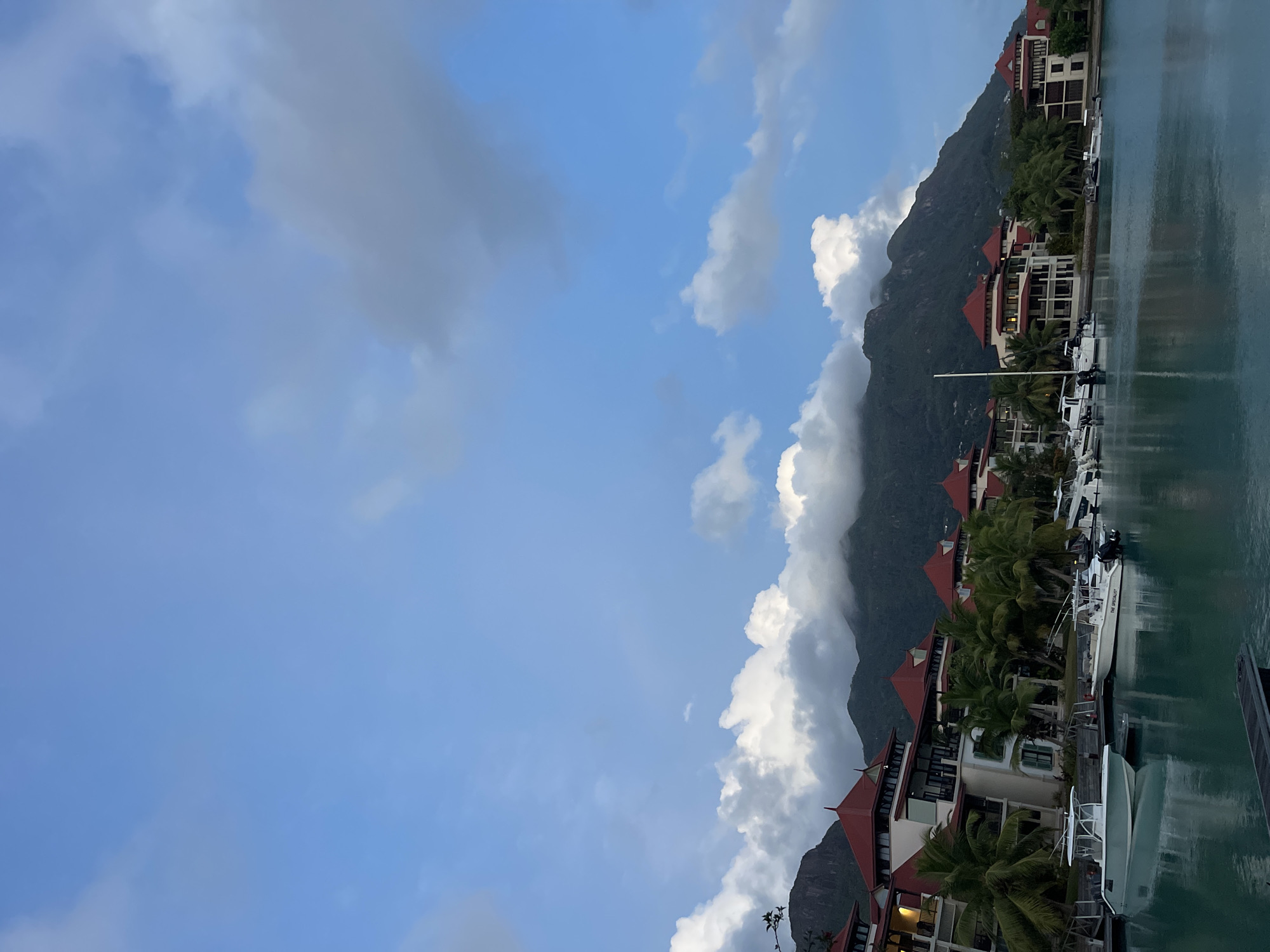 This image depicts a waterfront scene in Providence, Seychelles, characterized by a row of buildings with red-tiled roofs and palm trees lining the shore. Several boats are docked in the tranquil water, which reflects the overcast sky. In the background, lush green mountains rise, partially obscured by clouds. The overall atmosphere is serene and tropical. There are no people visible in the image.