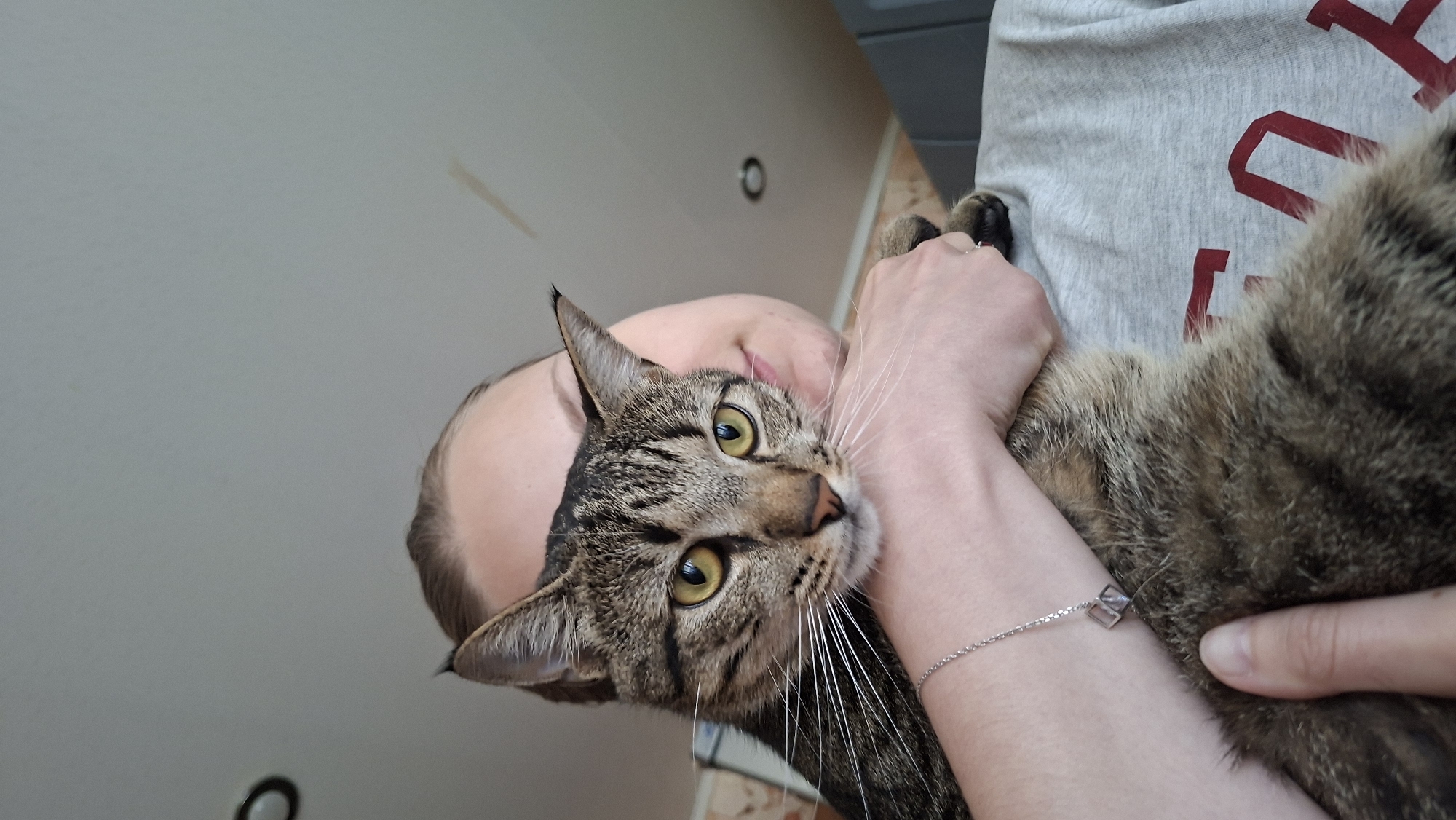 A person, with their face partially obscured by a cat, is holding the cat in their arms. The cat, a tabby with yellow eyes, is looking directly at the camera. The person is wearing a grey t-shirt. A silver bracelet with a geometric charm is visible on the person's wrist. The background appears to be an indoor setting, possibly a room in a house. The lighting suggests daytime. The scene does not provide any specific visual cues to determine its location within the city of Myadzyel, Belarus.