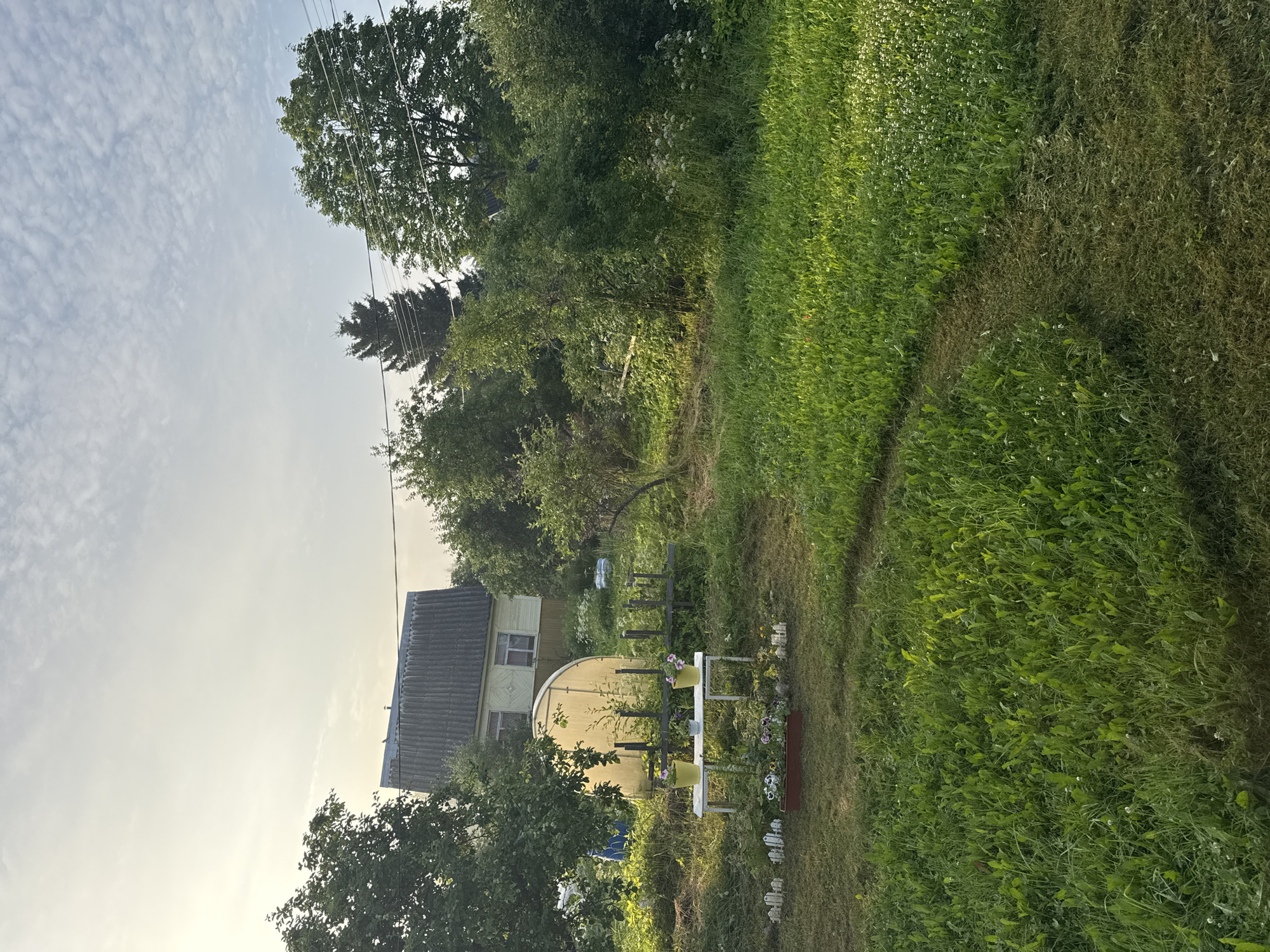 A scene captured at sunrise in Kuti, Russia, features a small, light-colored house with a dark, sloped roof, situated amidst lush greenery. To the left of the house, a transparent, arched greenhouse stands partially obscured by trees. In front of the greenhouse, a white table displays three potted plants, two of which contain yellow flowers and one with purple flowers, accompanied by a smaller purple pot. A low white fence runs along the foreground, bordering a patch of grass. A winding mown path cuts through the vibrant green lawn, leading towards the right side of the frame. The sky above is a soft, pale blue, scattered with wispy white clouds, illuminated by the low angle of the rising sun.