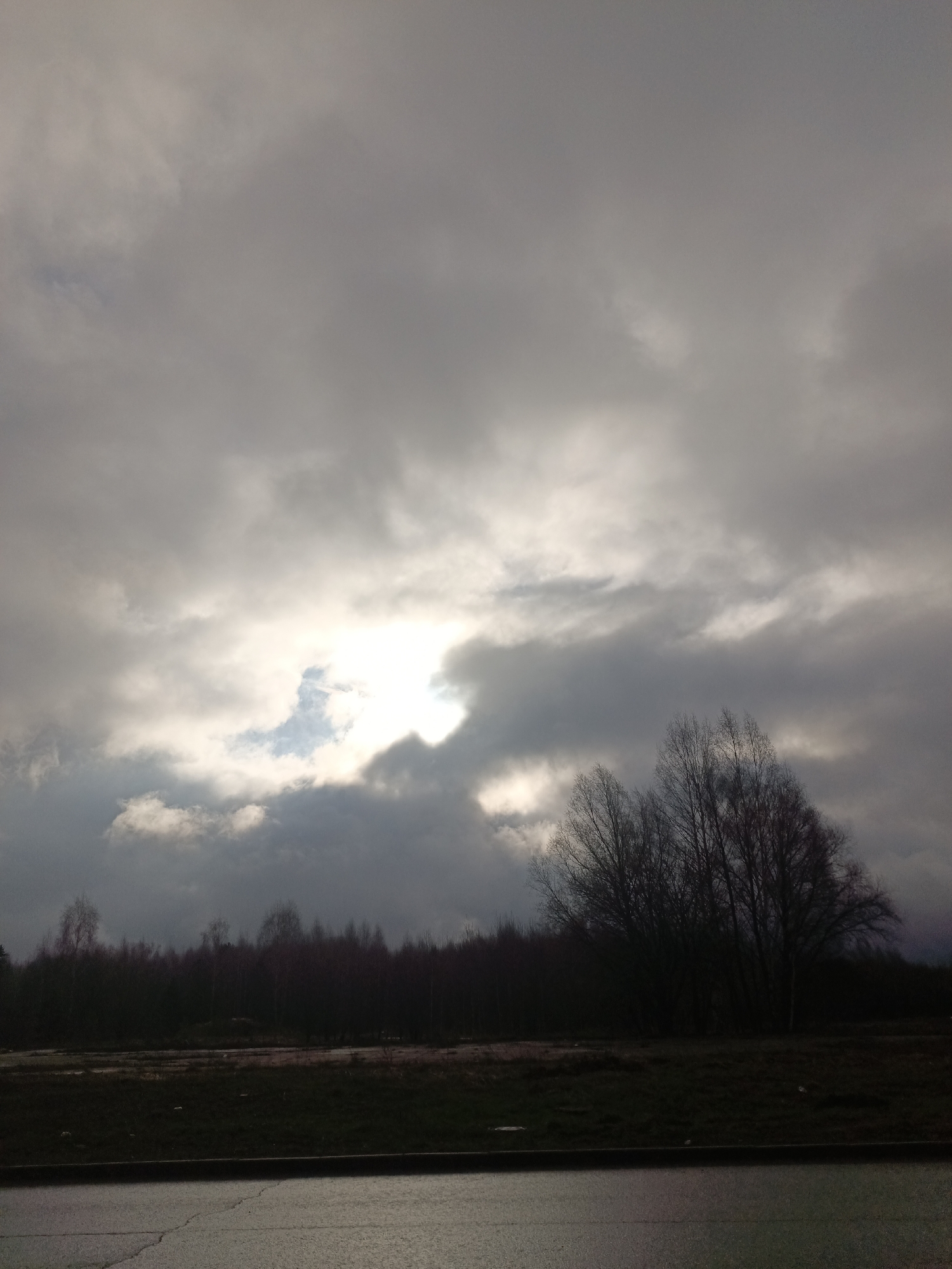 A low-angle view of an overcast sky above a landscape. The sky is filled with grey clouds, with a brighter area where the sun is partially obscured. Below the clouds is a dark line of trees with bare branches. A field or open area extends from the trees to the foreground, with a dark strip along the very bottom of the frame, likely a road or pavement. The location is likely in the vicinity of Марковский, Russia, based on the user's request. There are no people or animals visible. The overall scene suggests a cold or wet climate, possibly autumn or winter.