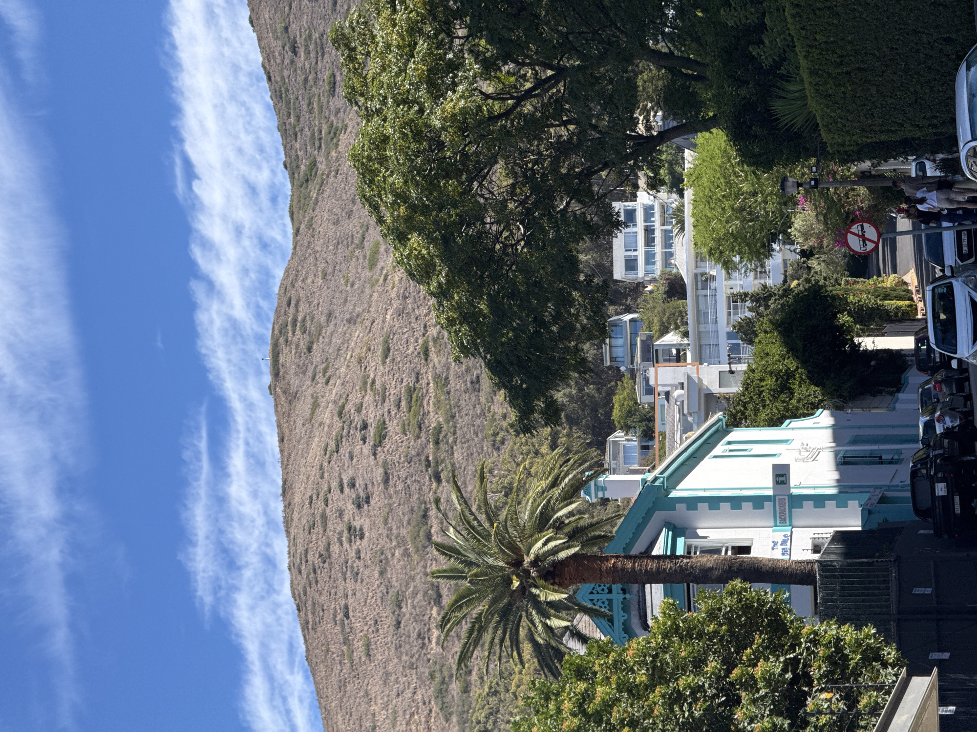 The image presents a residential street view on a sunny day in Green Point, Cape Town, South Africa, with a prominent, dry mountain forming the backdrop. The sky is clear blue, featuring several elongated, wispy white clouds. The mountain slope is covered in arid, light brown grass and sparse green shrubs, with a small flag or mast visible near its summit.
In the foreground, on the left, a multi-story white building with distinct turquoise blue trim and architectural detailing is visible, identified by signs as "The Big Blue Backpackers." A tall palm tree stands directly in front of this building. Numerous modern, white residential buildings with large windows and balconies ascend the hillside behind the street, nestled among green trees and bushes.
The street itself is an inclined road, with multiple cars parked along both sides, including a black pickup truck and several silver sedans. On the right side of the street, a red circular traffic sign depicting a diagonal line through a bus icon (indicating "No Buses") is mounted on a pole. Below this sign, a group of three to four casually dressed individuals is standing on the sidewalk.