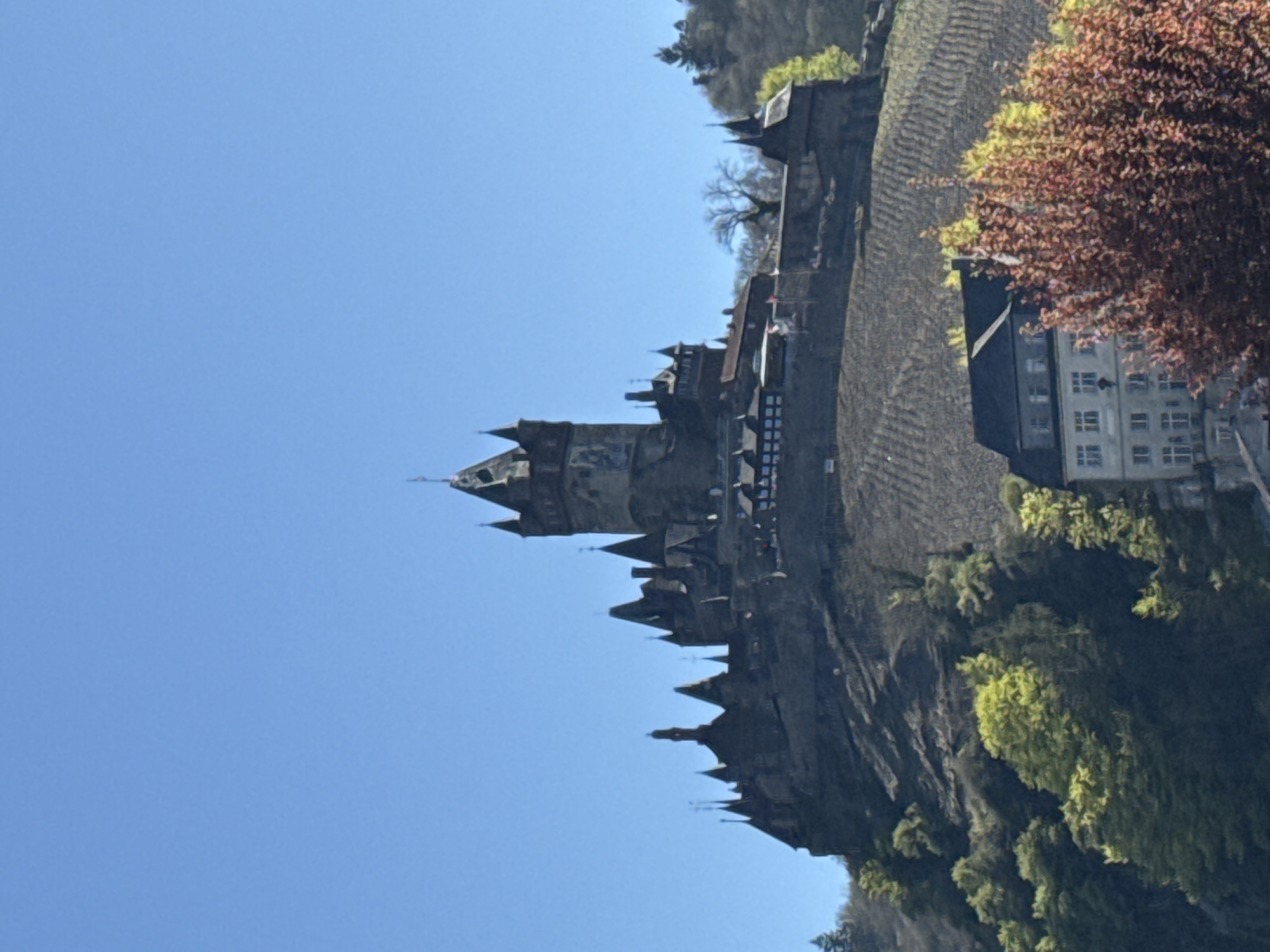 The image depicts Cochem Castle, perched high on a steep slope overlooking the town of Cochem, Germany. The castle's dark stone architecture contrasts with the bright blue sky. Terraced vineyards flank the castle, suggesting the region's viticultural heritage. A multi-story building is seen adjacent to the vineyard. Trees and vegetation cascade down the hillside.