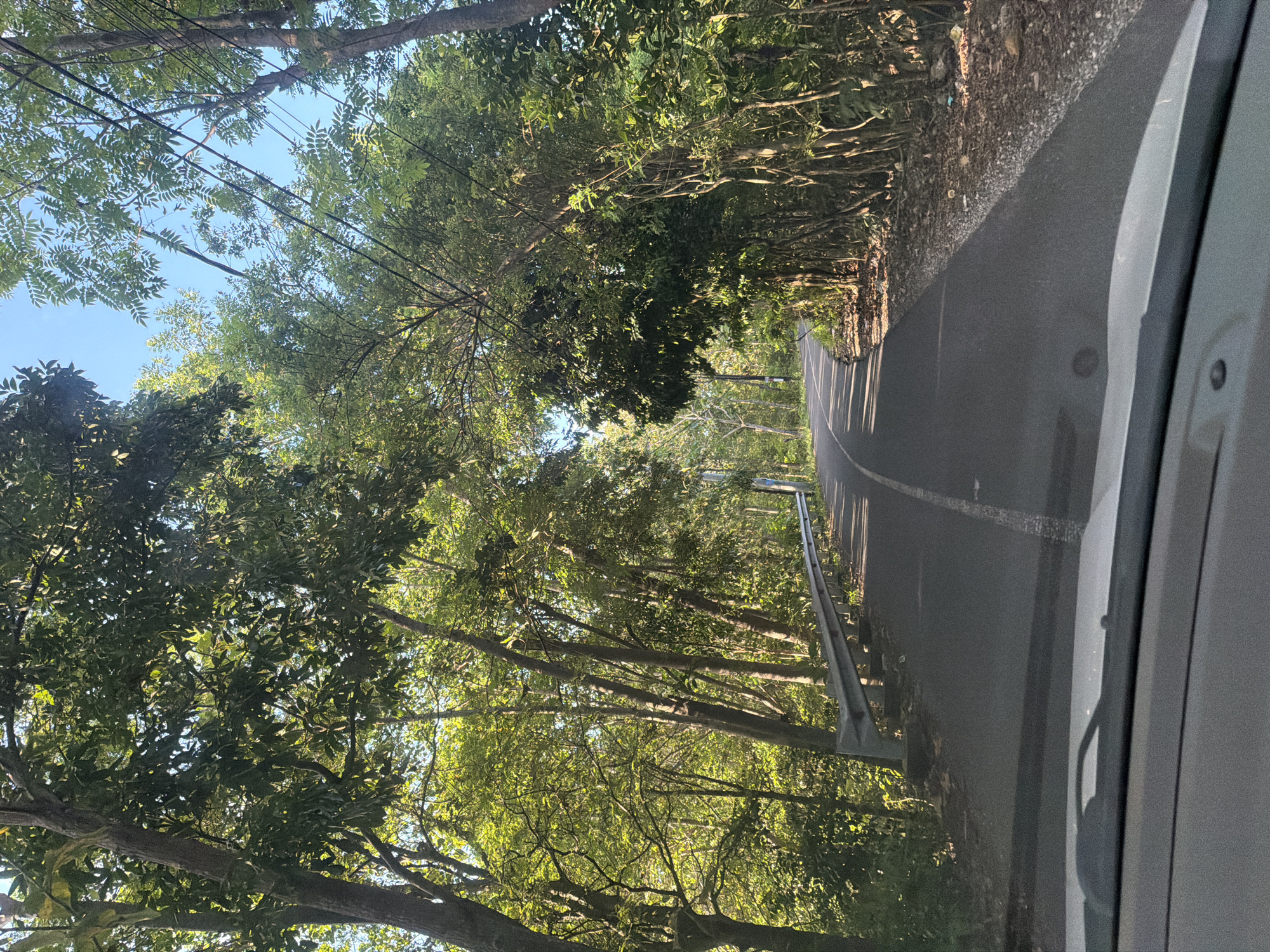 The image shows a view from inside a vehicle traveling on a narrow asphalt road, presumably in Ungasan, Indonesia. Lush green trees canopy both sides of the road, partially obscuring the sky. A white dividing line runs down the center of the road. A gray metal guardrail is visible on the right side. Power lines are strung across the top of the frame, visible between the trees. The interior of the vehicle is partially visible on the right side of the frame.