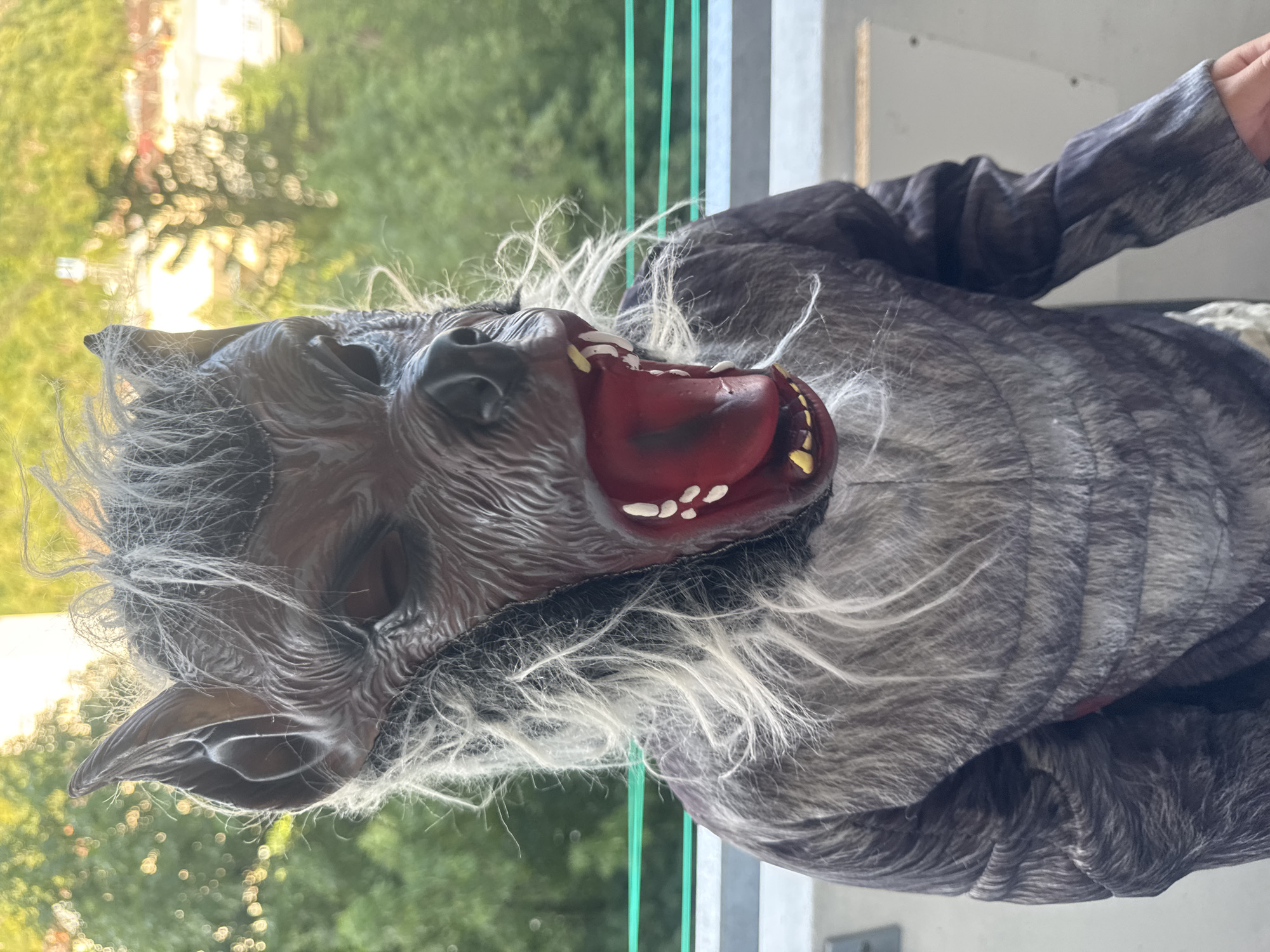 A child, seen from the chest up, is wearing a werewolf costume. The costume includes a detailed mask with fangs, a red interior mouth, and gray, shaggy hair. The child's arms and torso are covered in a gray, fur-like fabric. The background suggests an outdoor setting with blurred green foliage and bright sunlight, hinting at a sunny day. The child is positioned on a balcony or elevated platform, with a railing visible in the foreground. No specific location in Saint-Claude, France is indicated by the visual elements.