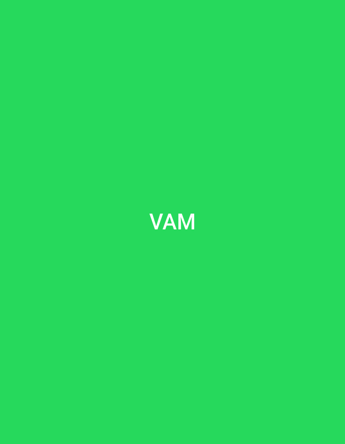 The image displays a uniformly bright green rectangular field. Centered horizontally and vertically within this field are the three capital letters "VAM", rendered in white. The text uses a sans-serif typeface, appearing sharp and clear against the monochromatic background. This static graphic is associated with the city of Casablanca, Morocco. No additional subjects, objects, individuals, or environmental details are discernible in the composition, which strictly comprises color and text.