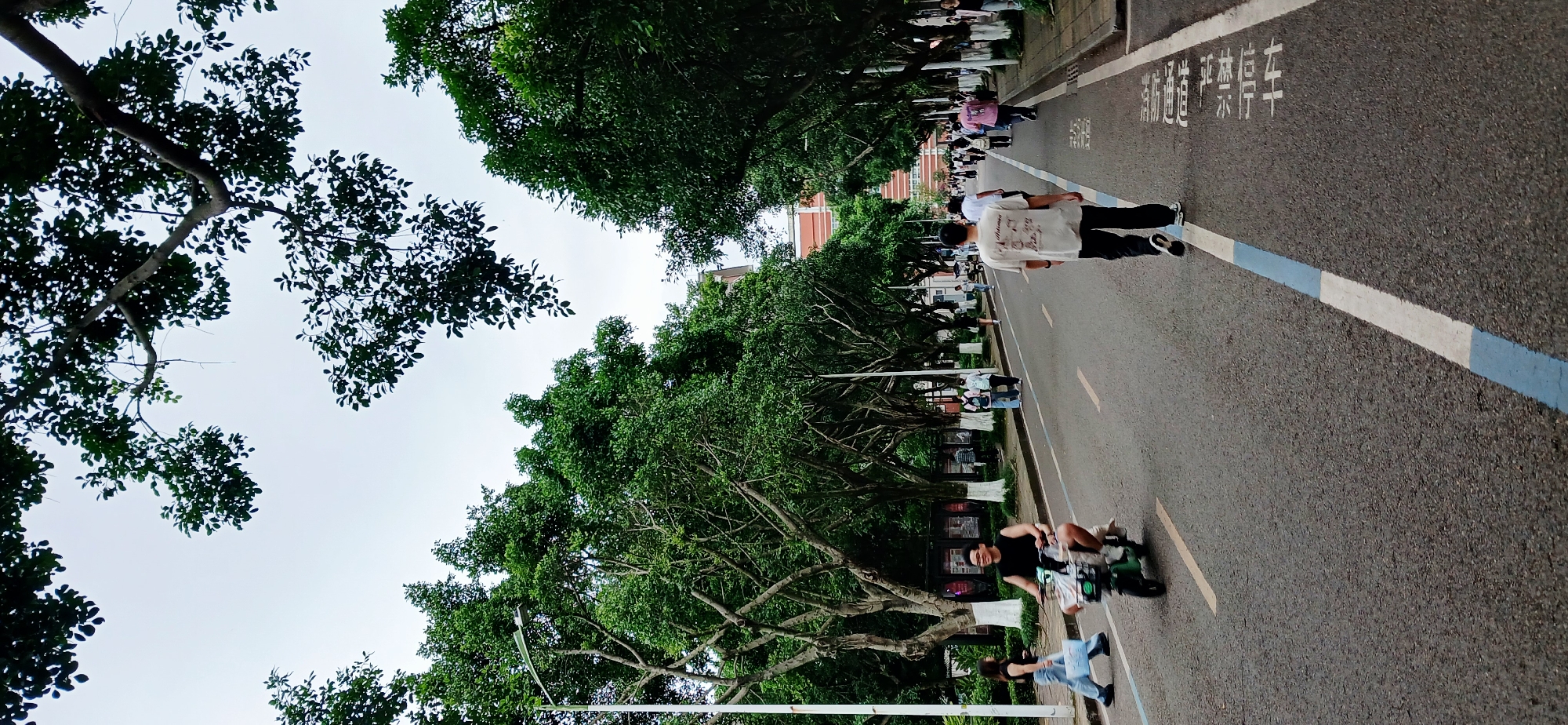The image depicts a street scene in Chongqing High-tech Zone, China. The street is lined with trees, creating a green canopy. People are walking along the street, some on foot and one riding a scooter. A white and blue line is painted on the street. Chinese characters are written on the road surface. The sky is visible through the trees, appearing overcast. The buildings along the street appear to be part of a university campus.