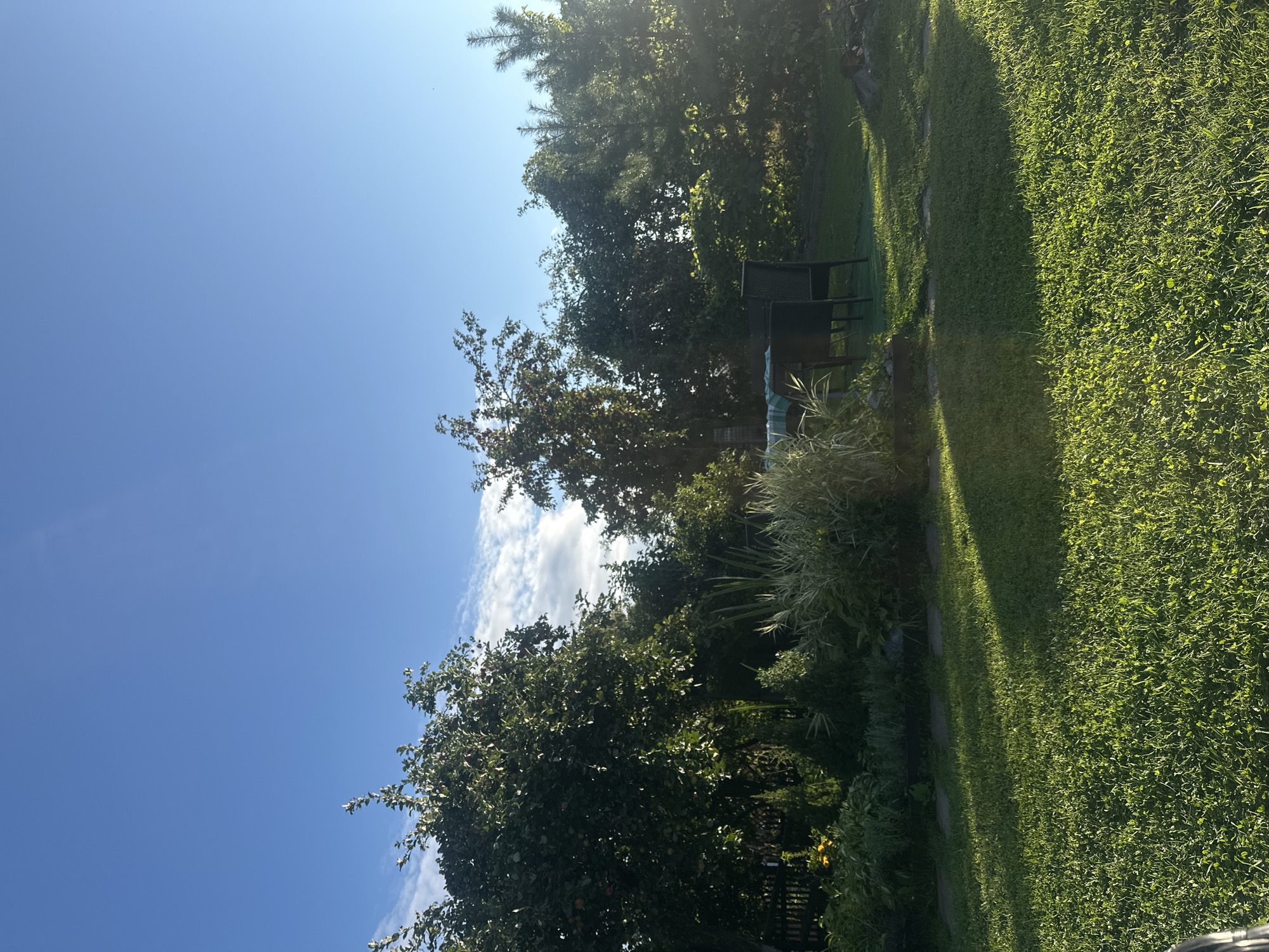The image depicts a backyard scene in the village of Galovo, Russia, on a clear day with a bright blue sky and scattered white clouds. The foreground is dominated by a lush green lawn, with sunlight casting distinct shadows from the trees and foliage onto the grass.
In the middle ground, a picnic table is set with a blue and white striped cloth, accompanied by two dark-colored chairs. The table and chairs are positioned on a patch of artificial turf surrounded by greenery. Behind the table, a variety of plants and trees form a dense backdrop. A large, leafy apple tree with visible apples is prominent on the left, and several other deciduous and evergreen trees fill the space. A dark wooden fence is partially visible behind the apple tree.
The overall impression is of a tranquil, residential garden during daylight hours. There are no people visible in the image.