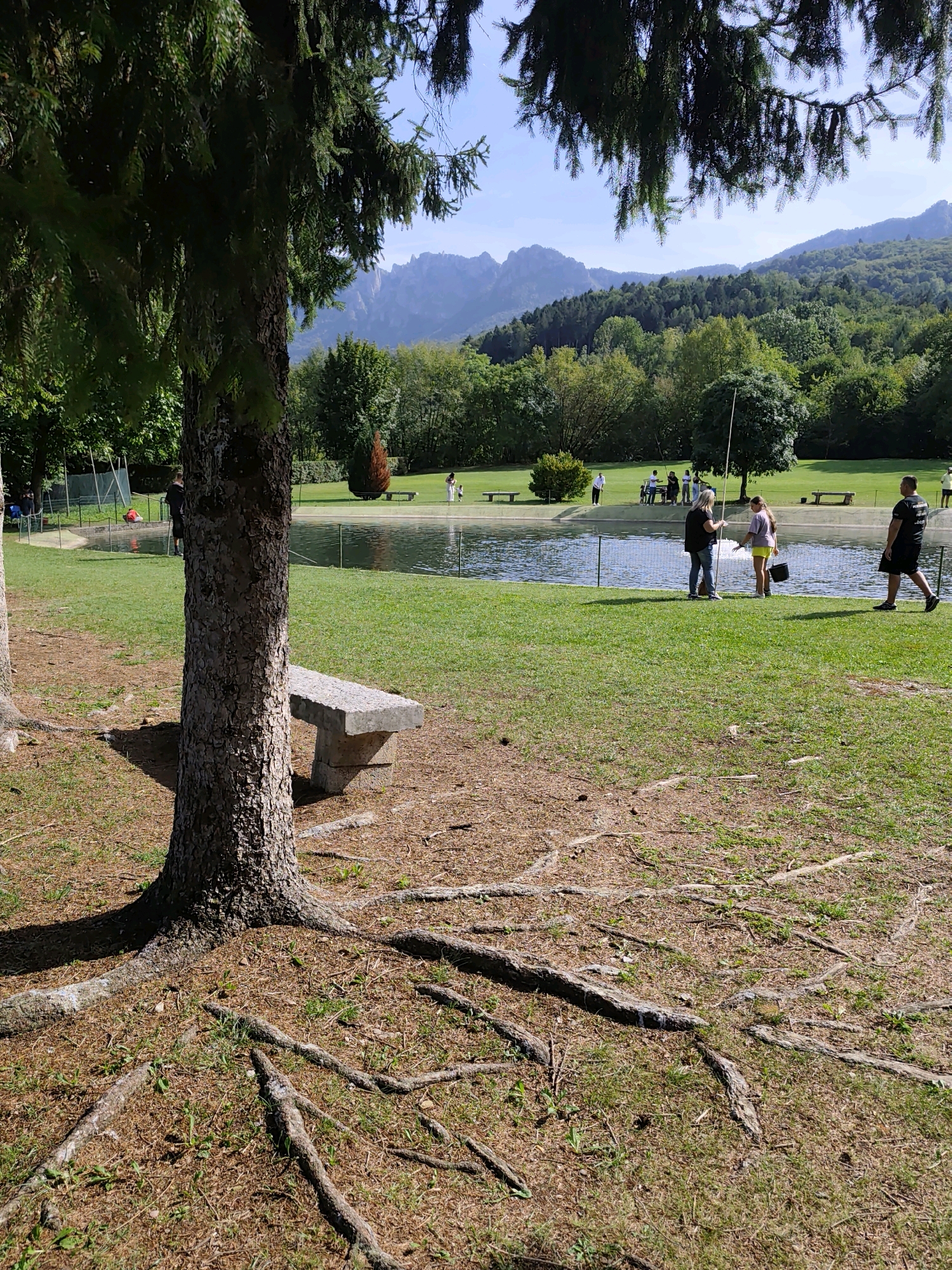 The image shows a park-like setting with a pond or lake in the background. In the foreground, a large tree trunk is visible, with exposed roots spreading across the ground covered in pine needles and sparse grass. To the right of the tree is a stone bench. Beyond the bench, a grassy area slopes down to a body of water. Several people are scattered around the pond, some appearing to be fishing or interacting. In the distance, rolling green hills and mountains are visible under a clear blue sky. The overall impression is of a tranquil outdoor recreational area. While no specific landmarks in Velo d'Astico are identifiable, the scene suggests a natural landscape typical of areas surrounding towns in Italy.