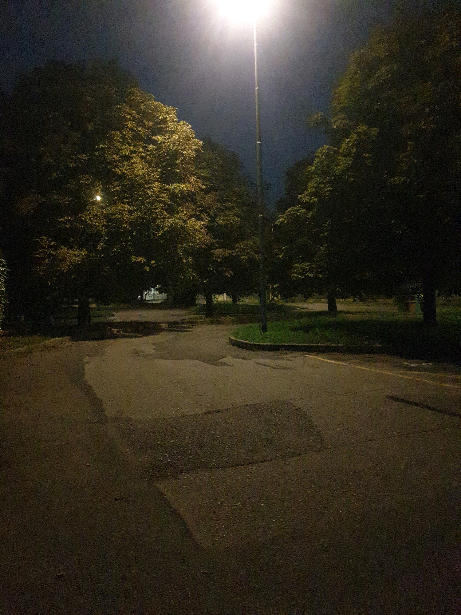 The image depicts a park or public space at night in Biassono, Italy, illuminated by a streetlamp. The ground is paved with asphalt, showing areas of dampness and a few scattered leaves. A pathway curves through the scene, bordered by grass and mature trees that cast deep shadows. The sky is dark, with the bright light of the streetlamp creating a hazy glow. There are no people or animals visible in the frame. The overall impression is one of quiet solitude and the stark contrast between light and shadow in an urban natural setting.