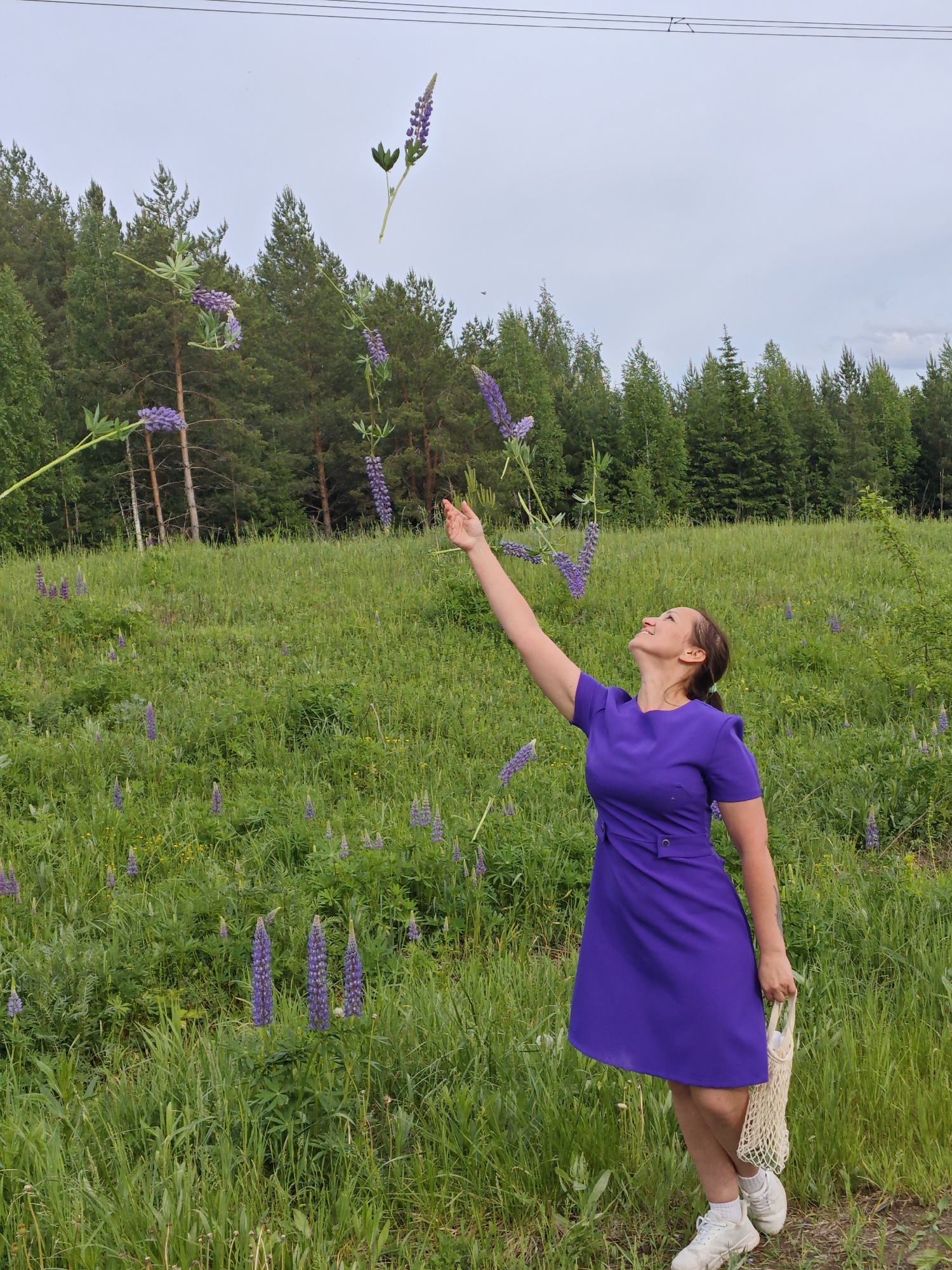 A woman in a purple dress stands in a grassy field filled with purple lupine flowers. Her arm is outstretched upward, seemingly reaching toward lupine flowers that appear to be floating in the air. A forest can be seen in the background under a cloudy sky. The woman is holding a white string bag in her other hand and wearing white sneakers. Overhead power lines stretch across the sky. The scene is located near the city of Chaikovsky, Russia.